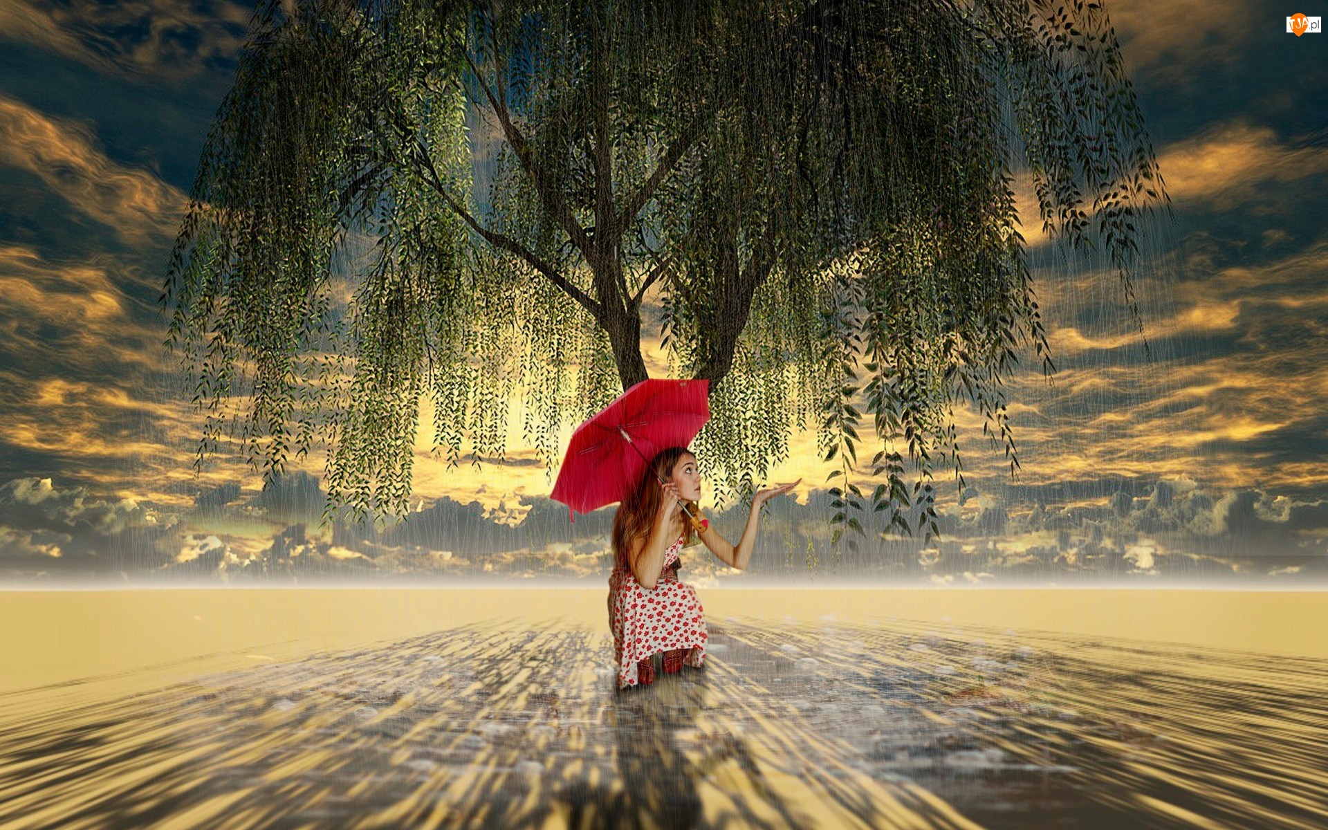 Deszcz, Kobieta, Parasolka, Czerwona, Drzewo