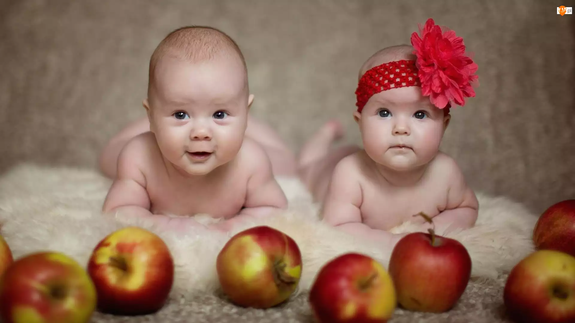 Jabłka, Dziewczynka, Chłopczyk