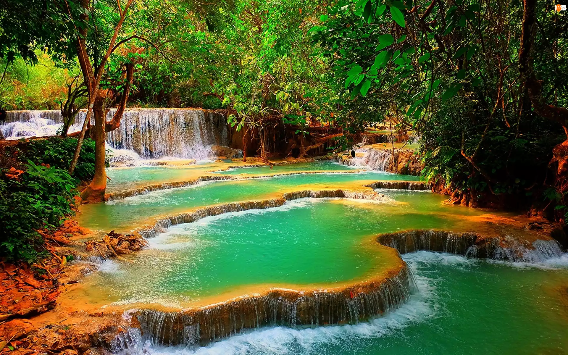 Laos, Wodospad, Drzewa, Kuang Si, Las