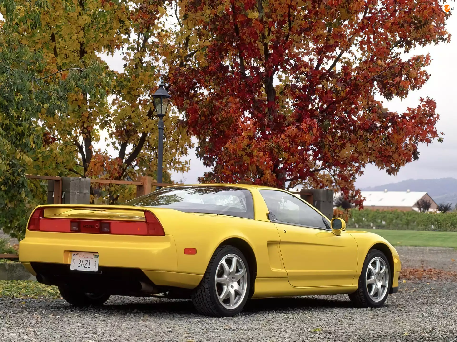 Żółta, Honda, NSX