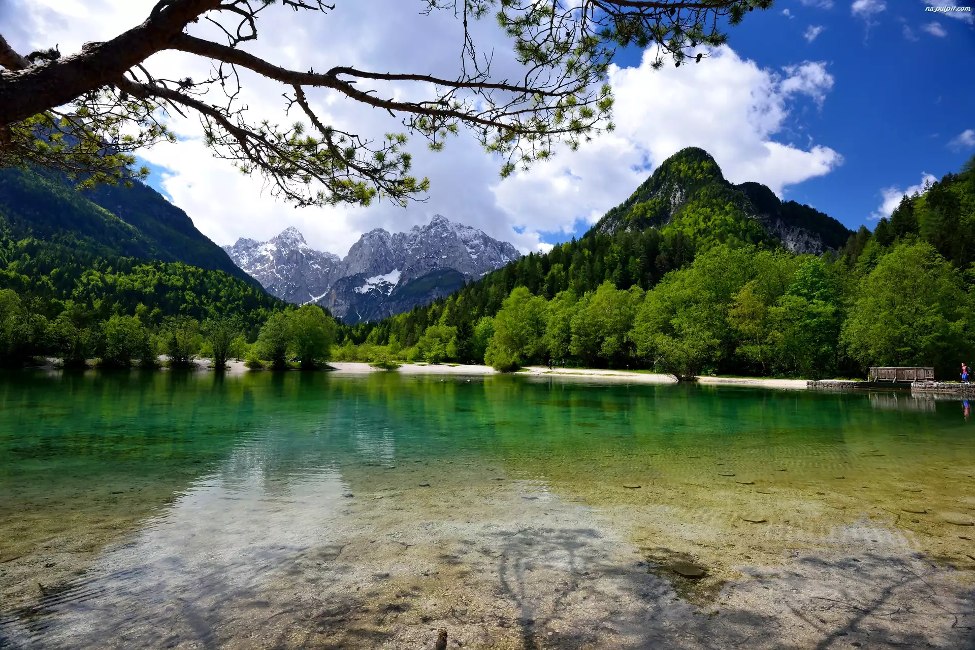 Słowenia, Góry, Jezioro, Las, Jasna Góra