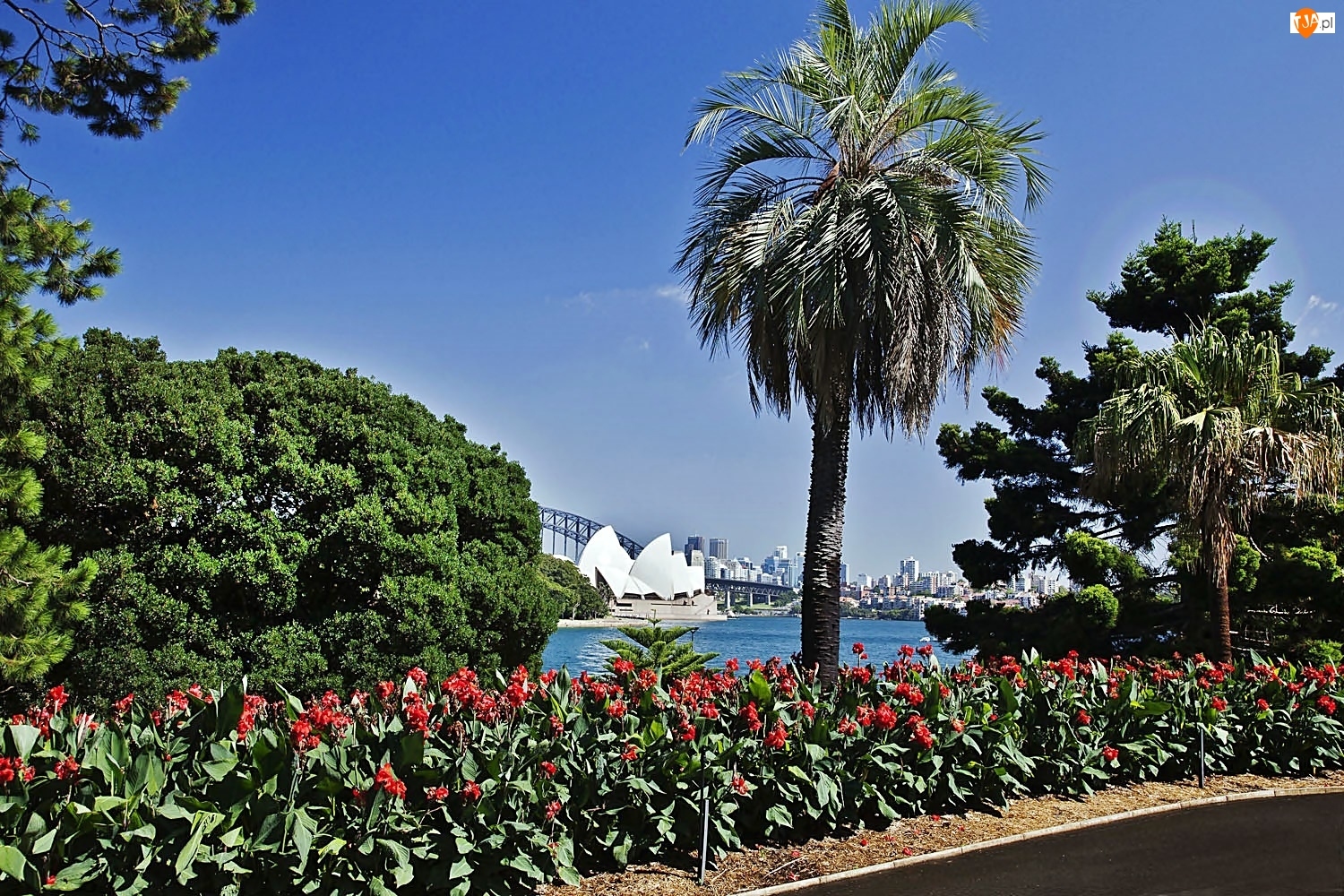 Sydney, Park, Panorama