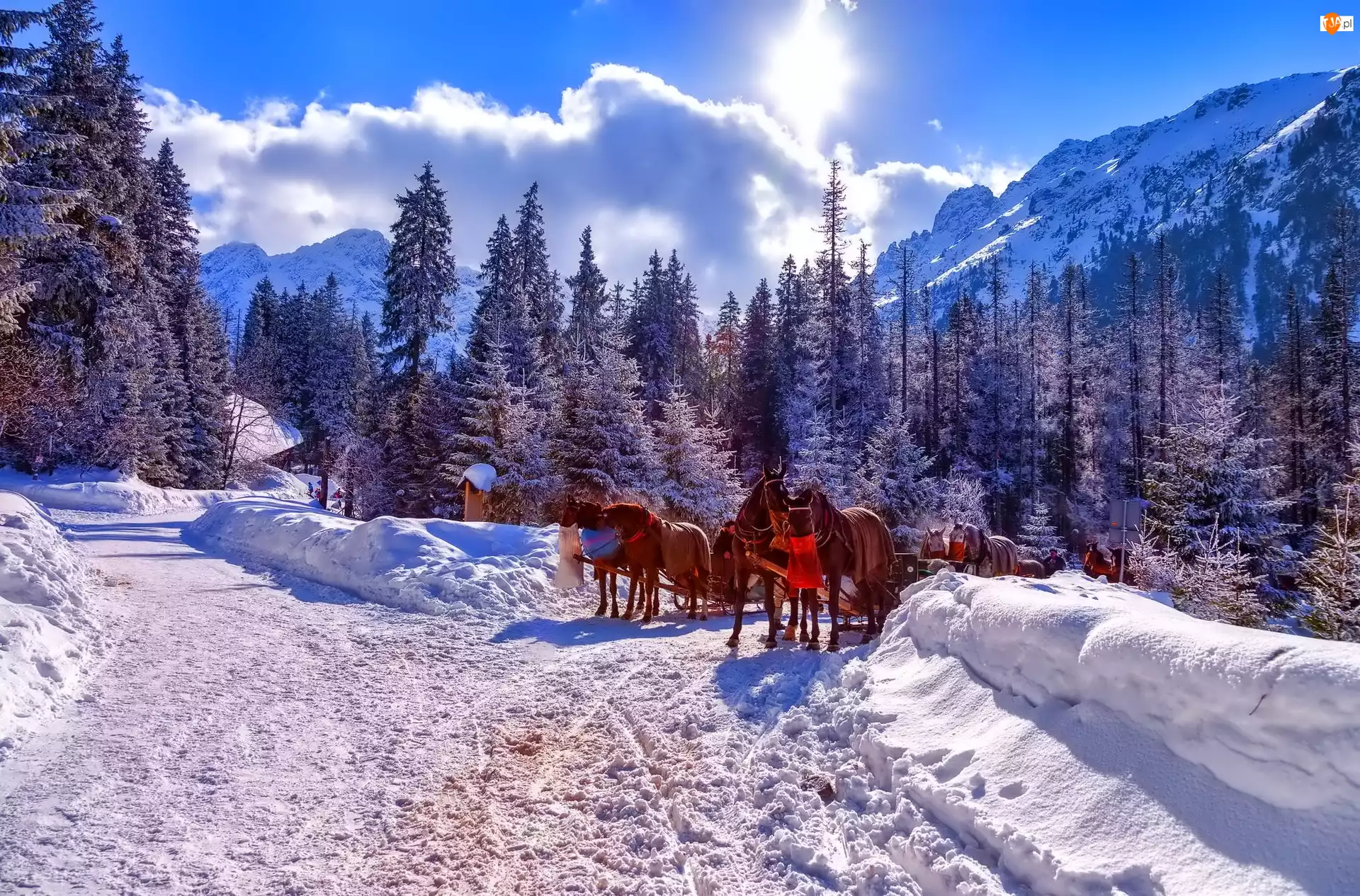 Zima, Góry, Zaprzęg, Polska, Konie, Tatry
