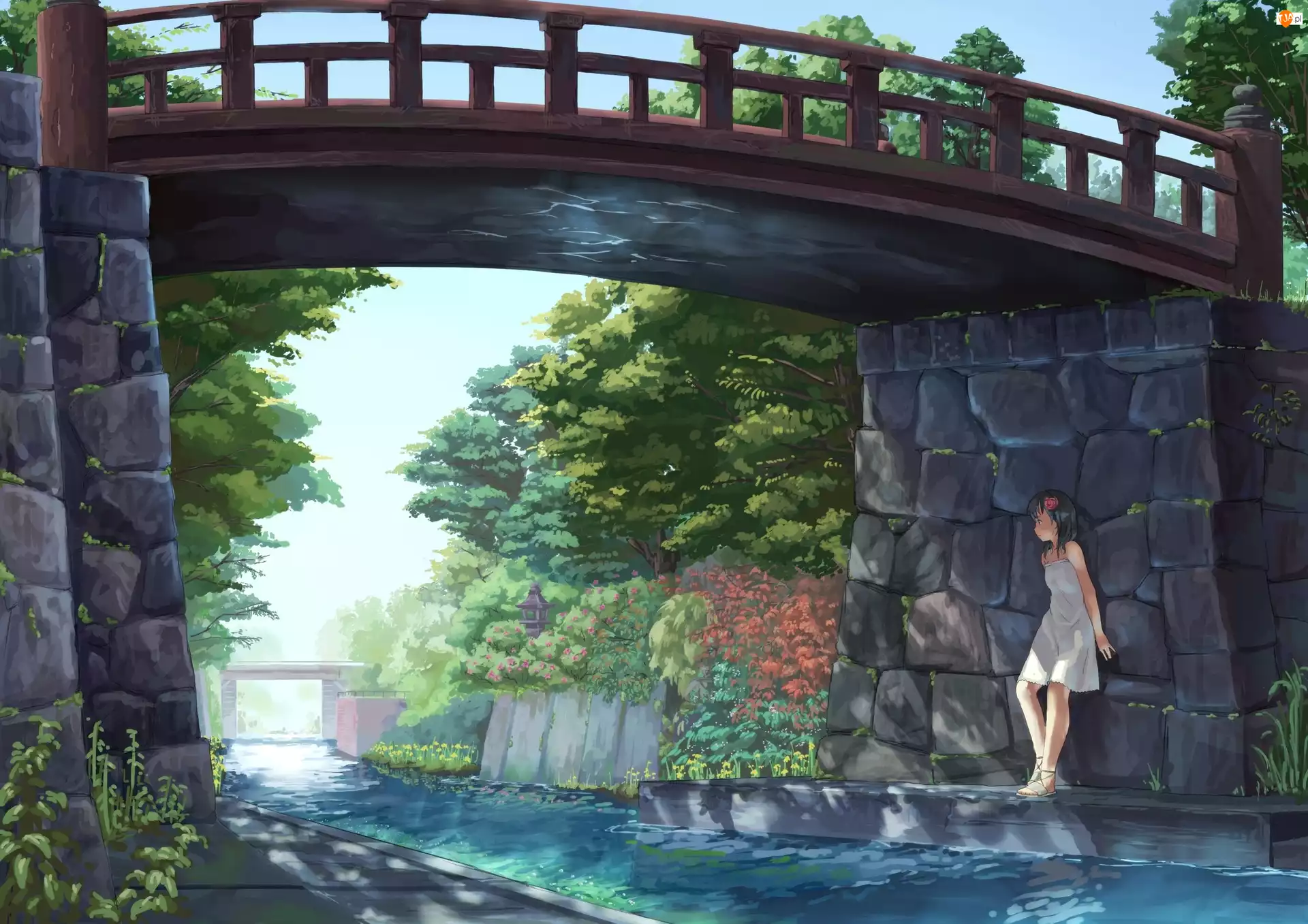Most, Manga, Dziewczyna, Anime, Rzeka, Park