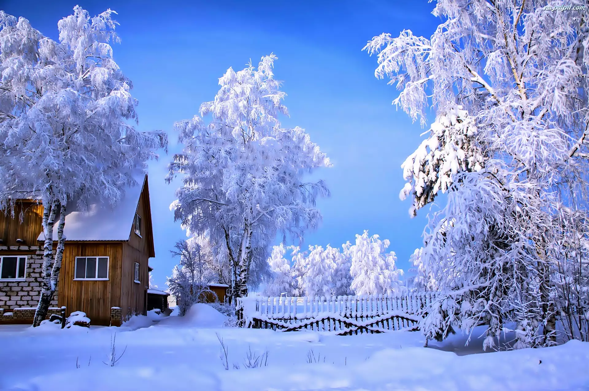 Zima, Drzewa, Dom, Ośnieżone