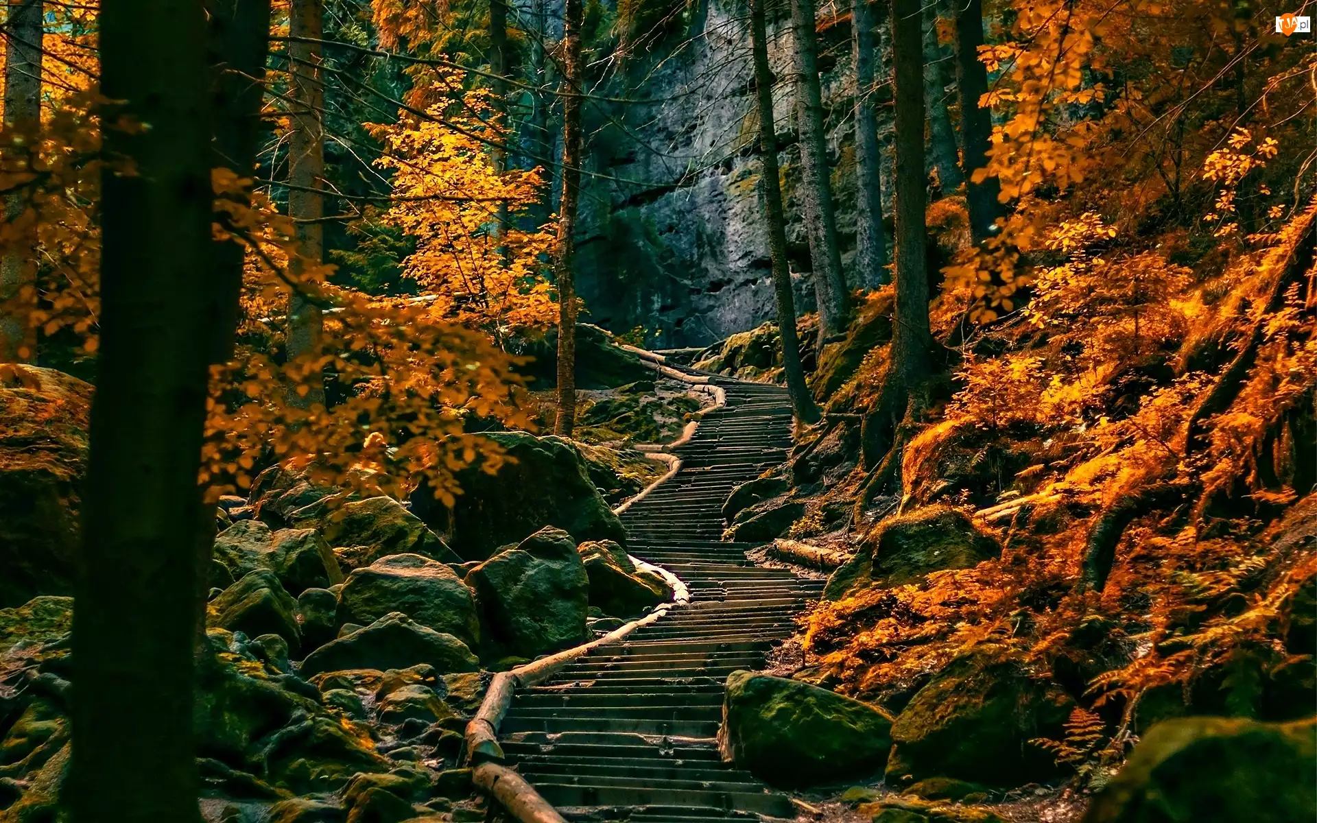 Las, Jesień, Ścieżka, Skały
