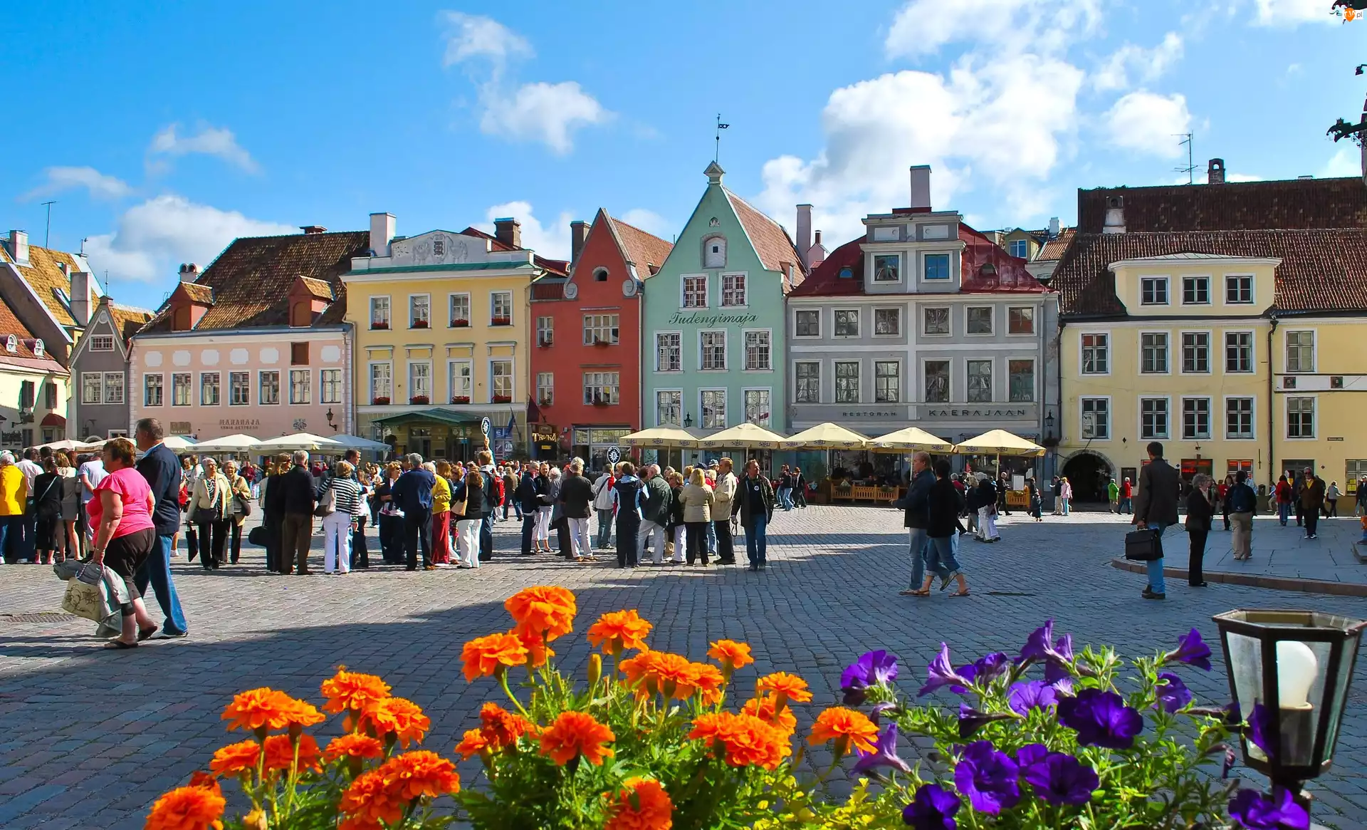 Rynek, Ludzie, Estonia, Kwiaty, Tallin, Domy