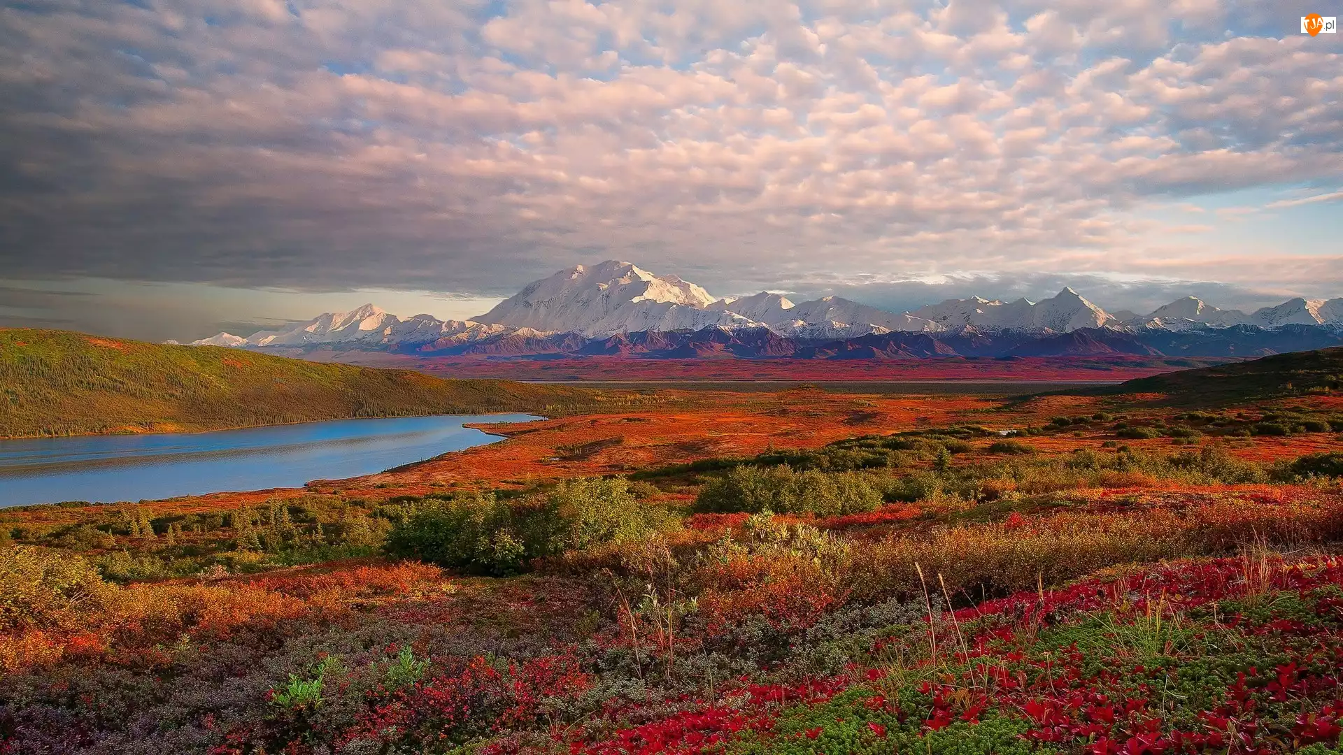 Park Narodowy Denali, Alaska, Góry, Roślinność, Stany Zjednoczone, Jezioro