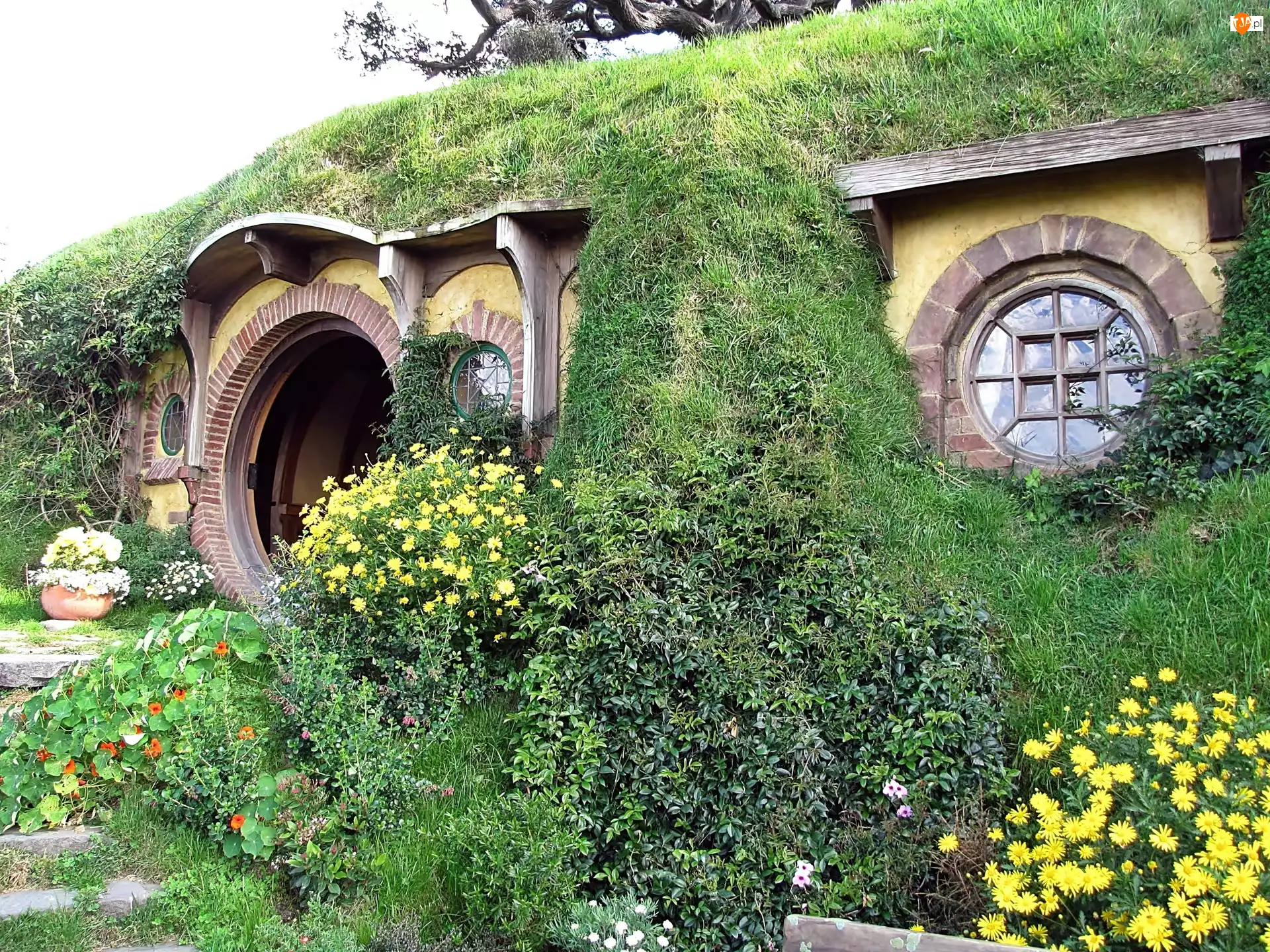Ogródek, Dom, Hobbita