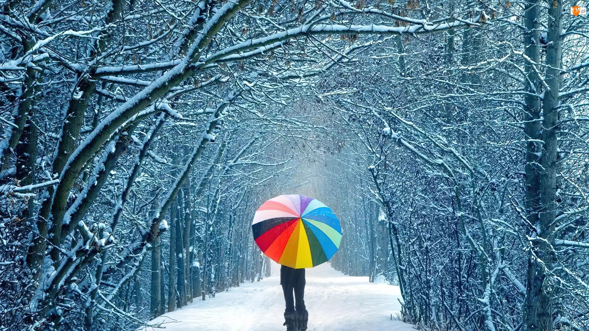 Parasol, Droga, Śnieg, Dziewczyna