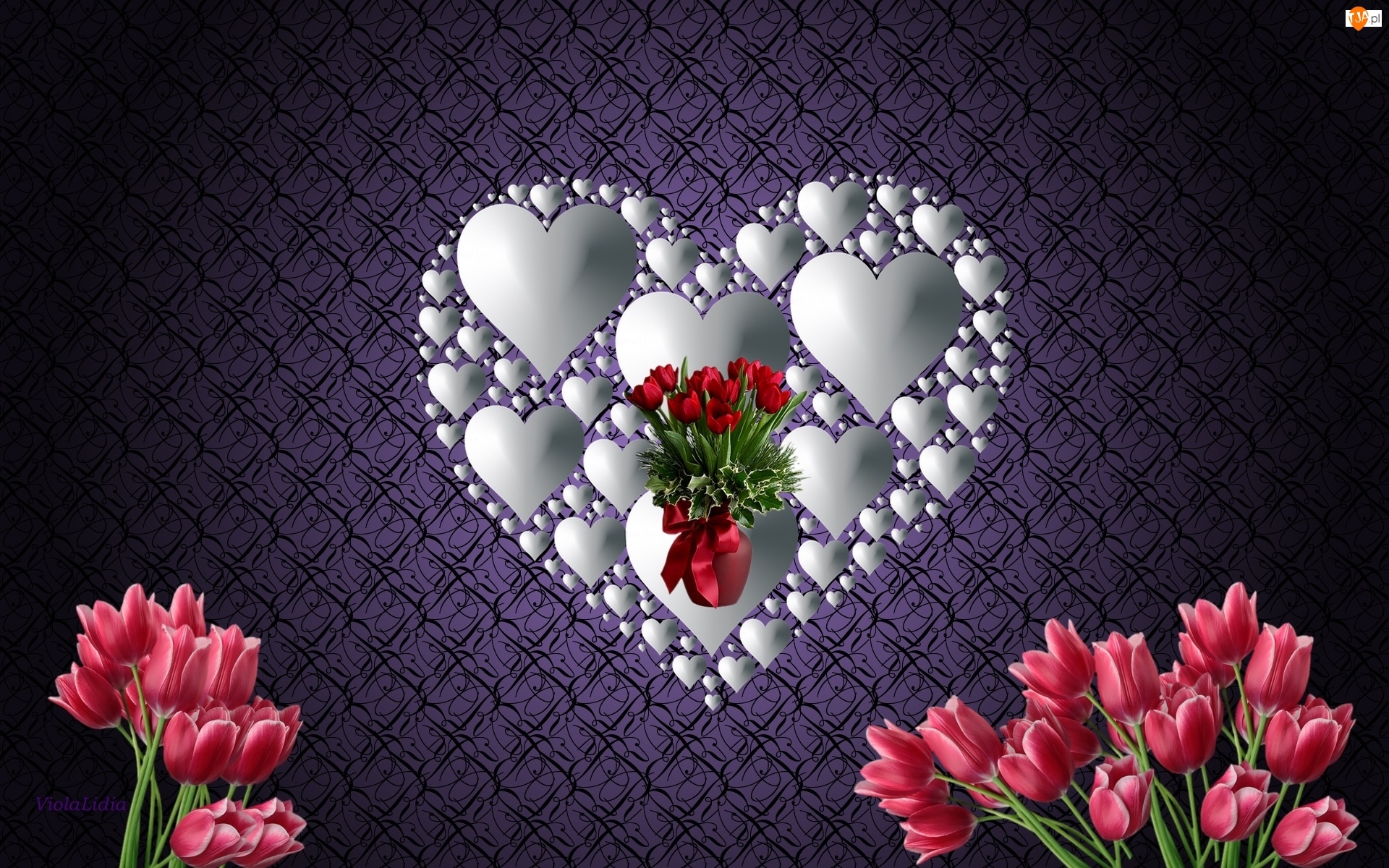 Walentynki, Grafika, Serce, Miłość, Tulipany