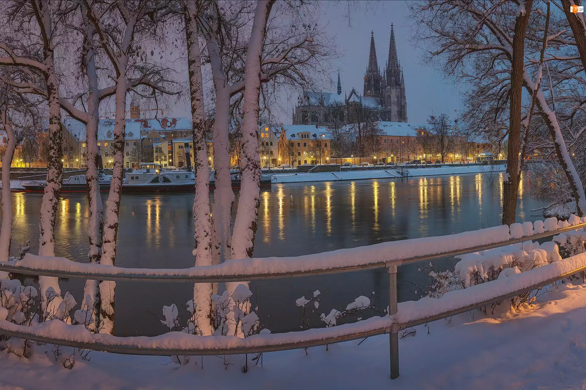 Rzeka, Katedra, Zima, Ogrodzenie, Regensburg, Płot, Śnieg, Drzewa