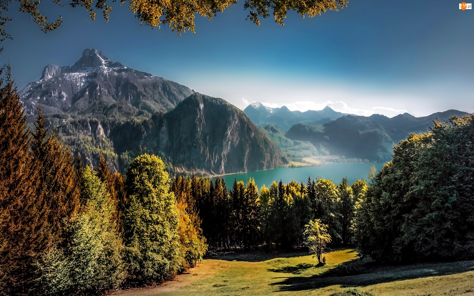 Austria, Lasy, Góry, Jezioro