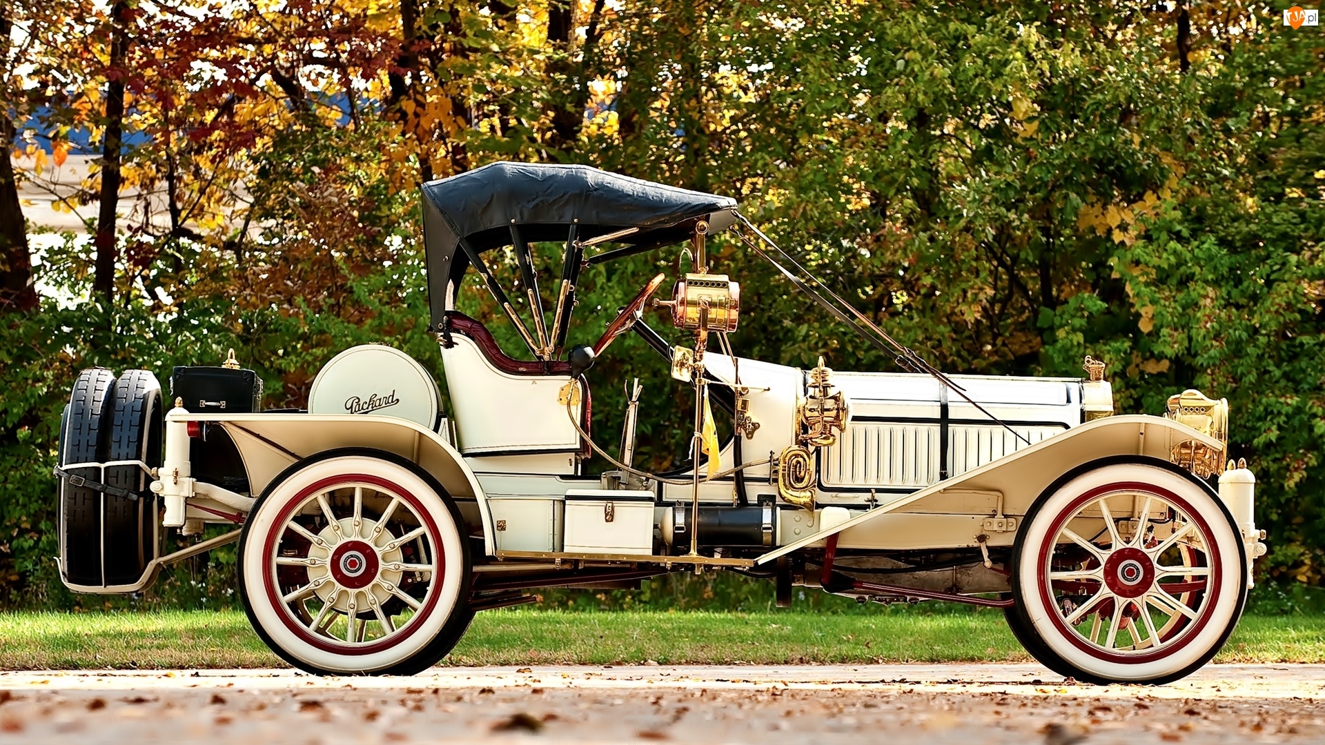 Packard, Drzewa, Zabytkowy, Samochód, 1912