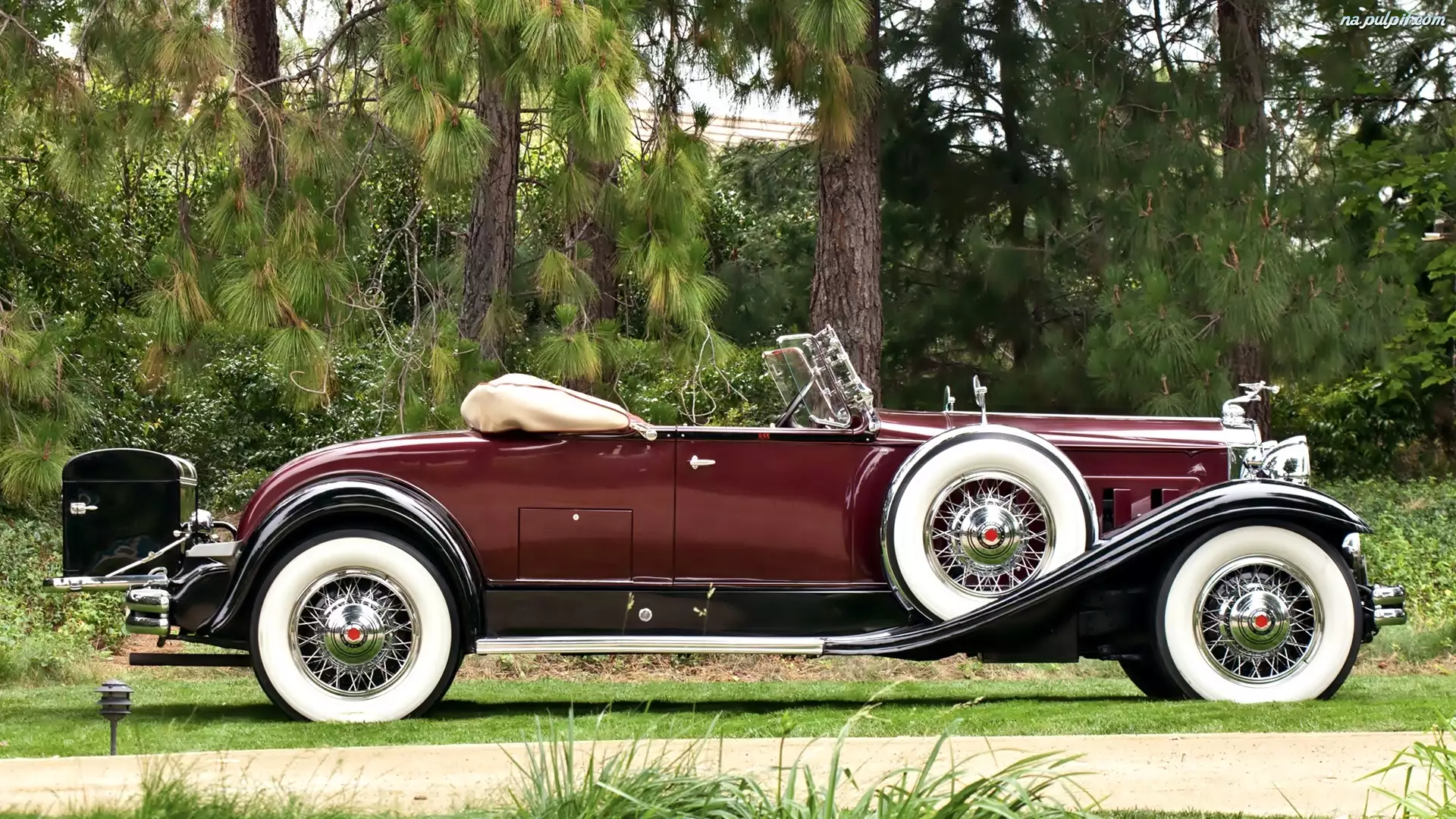 Packard, 1931, Zabytkowy, Samochód, Deluxe
