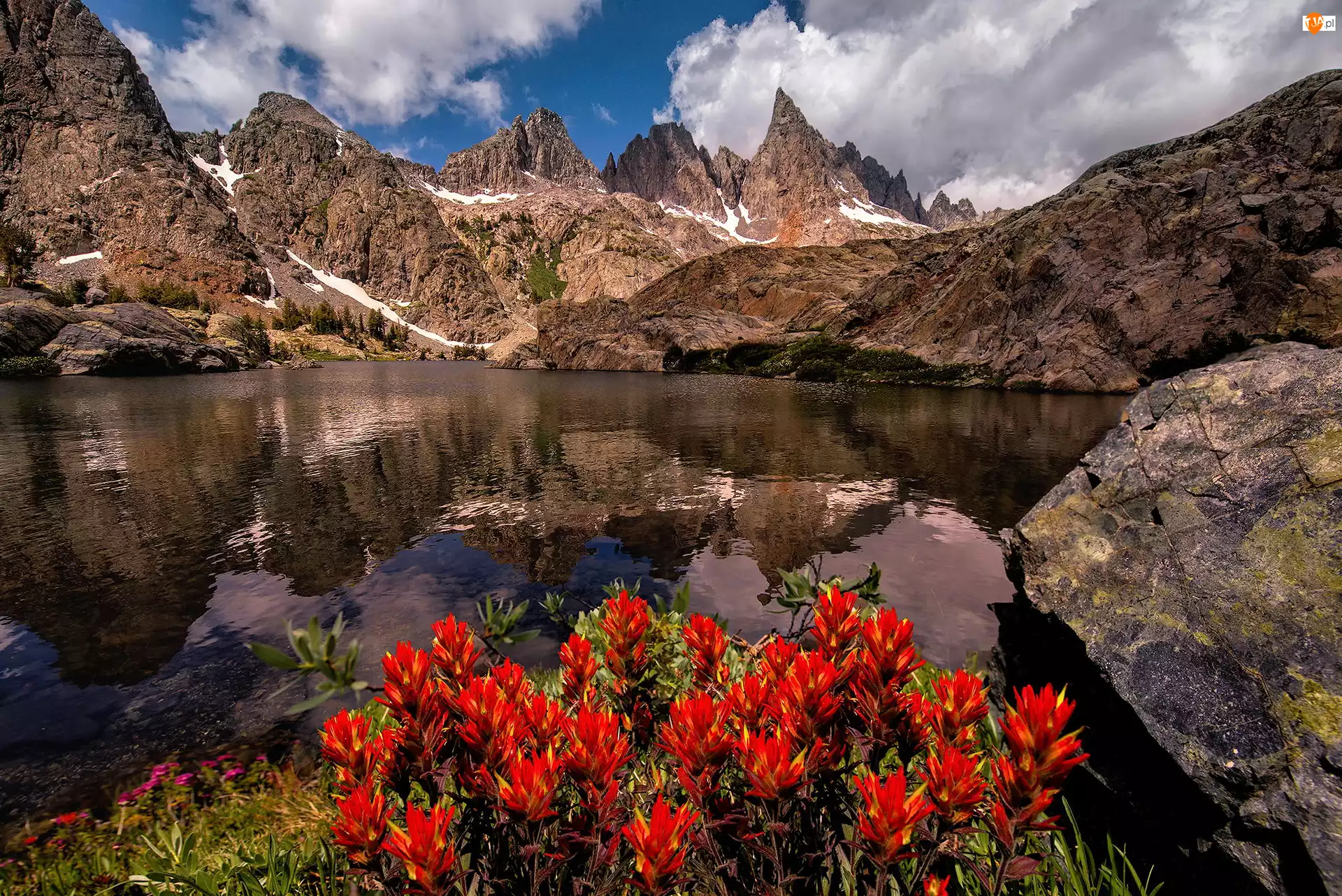 Minaret Lake, Stany Zjednoczone, Sierra Nevada, Czerwone, Stan Kalifornia, Jezioro, Kwiaty, Góry