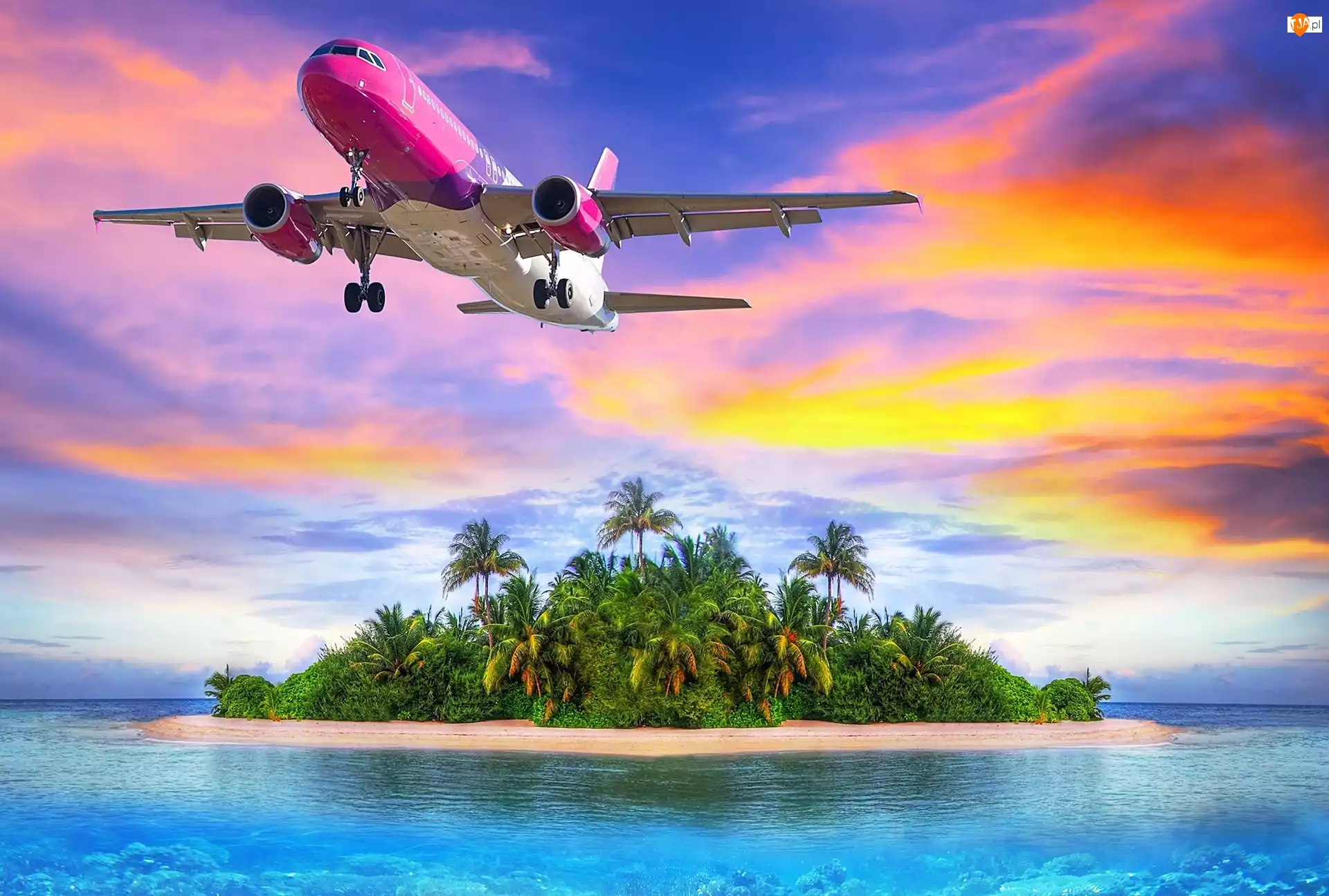 Ocean, Różowy, Wyspa, Samolot, Palmy