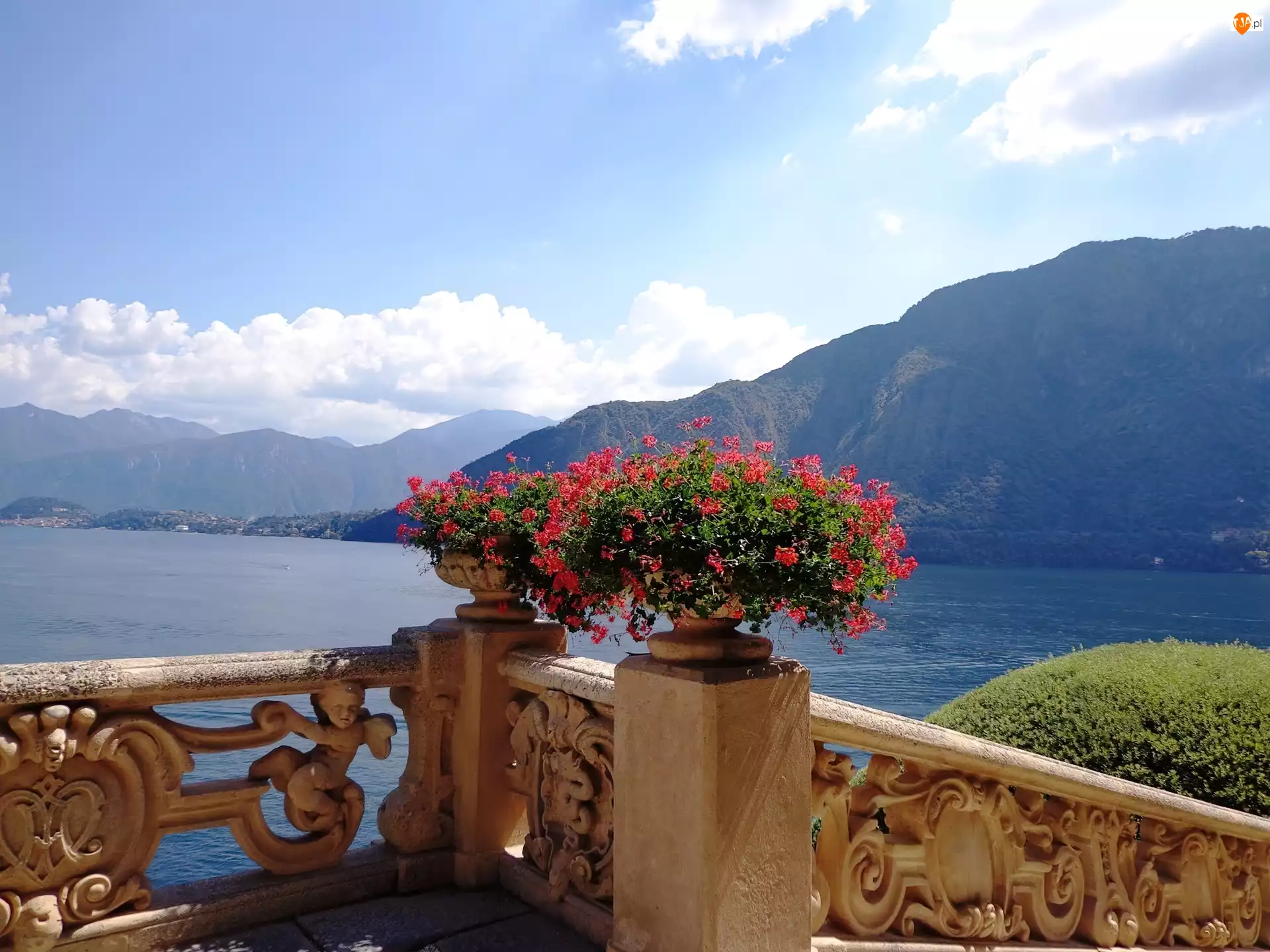 Jezioro, Góry, Taras, Włochy, Como, Kwiaty
