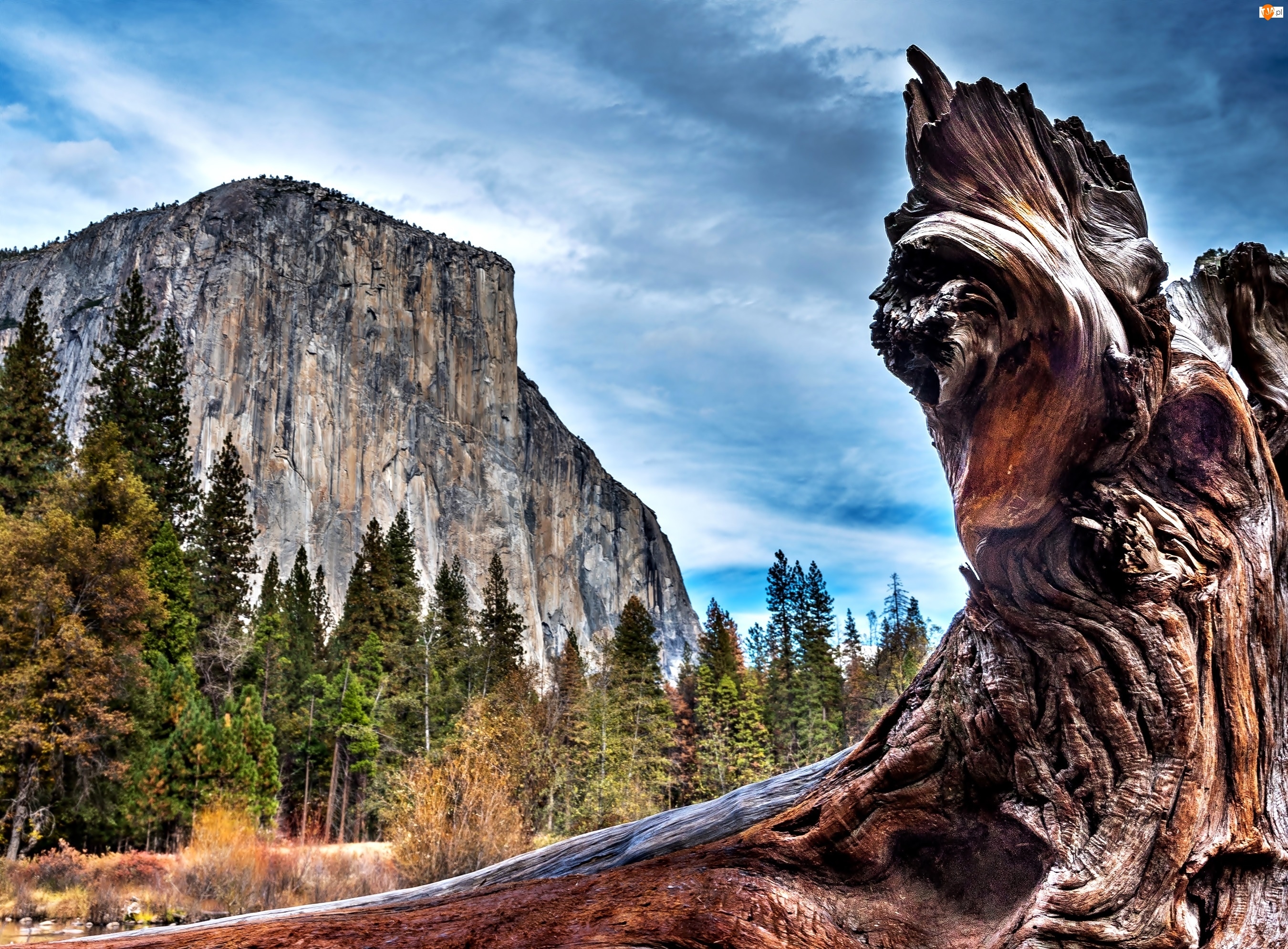 Park, USA, Narodowy, Yosemite