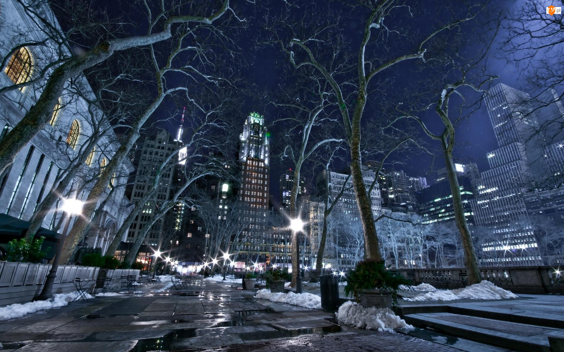 Miasto, Zima, Stany Zjednoczone, Drzewa, Nowy Jork, Noc