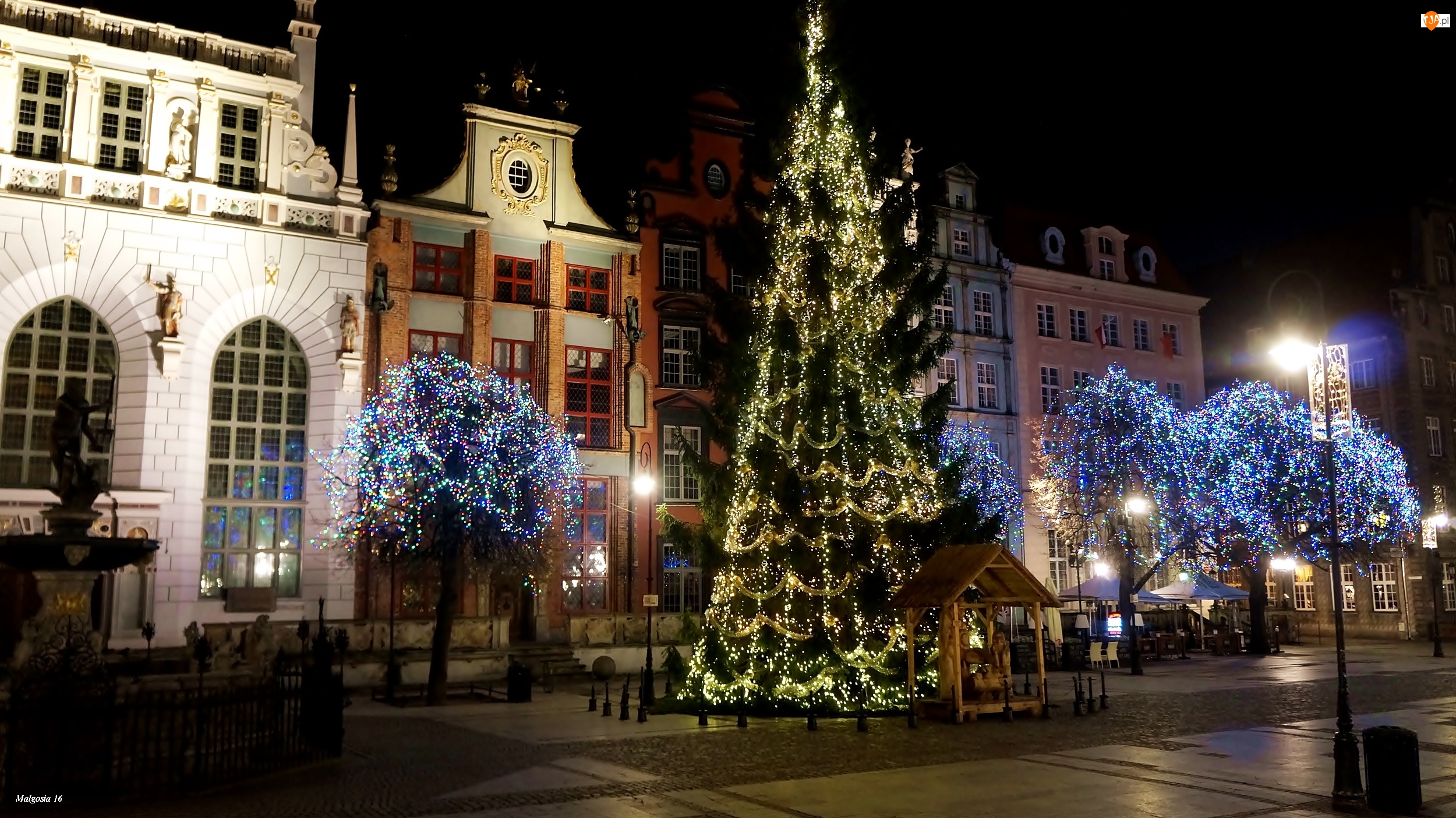 Świąteczne, Miasto, Noc, Gdańsk, Choinka