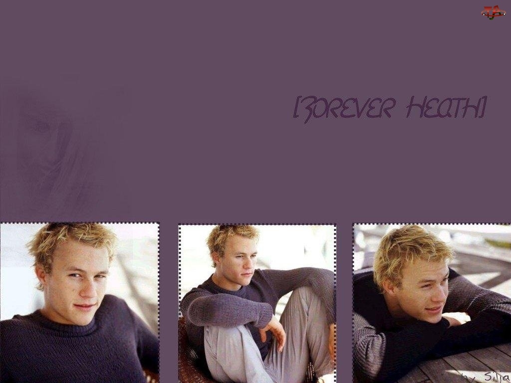 szary sweterek, Heath Ledger, jasne włosy