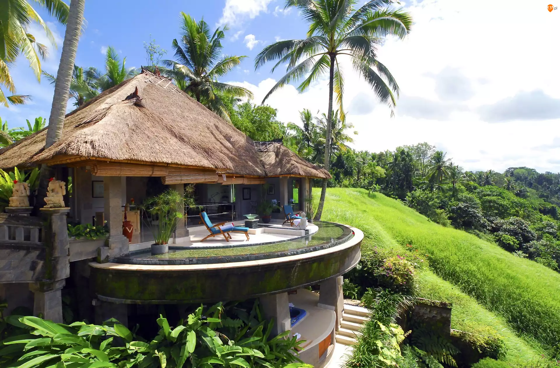 Palmy, Indonezja, Bali, Wyspa, Hotel