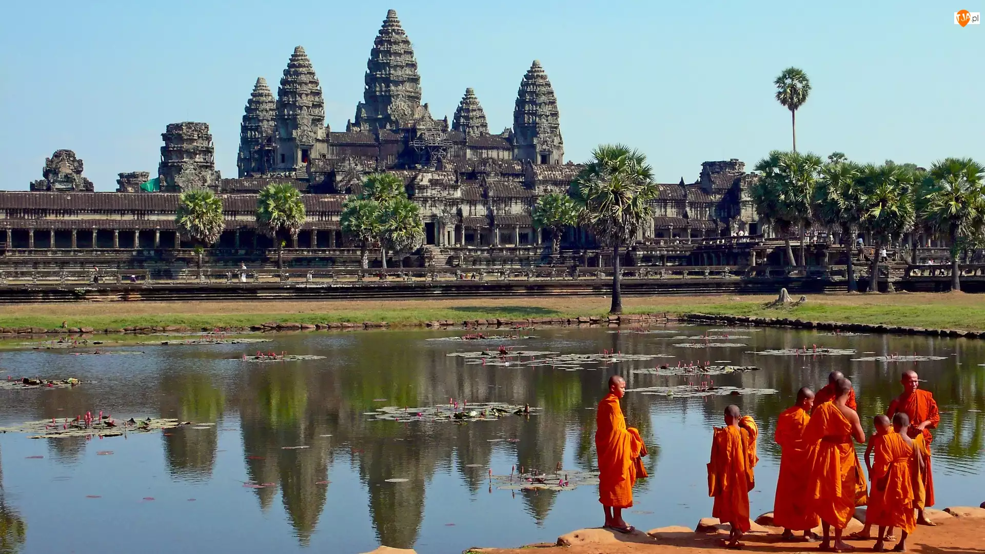 Kambodża, Staw, Angkor Wat, Mnisi