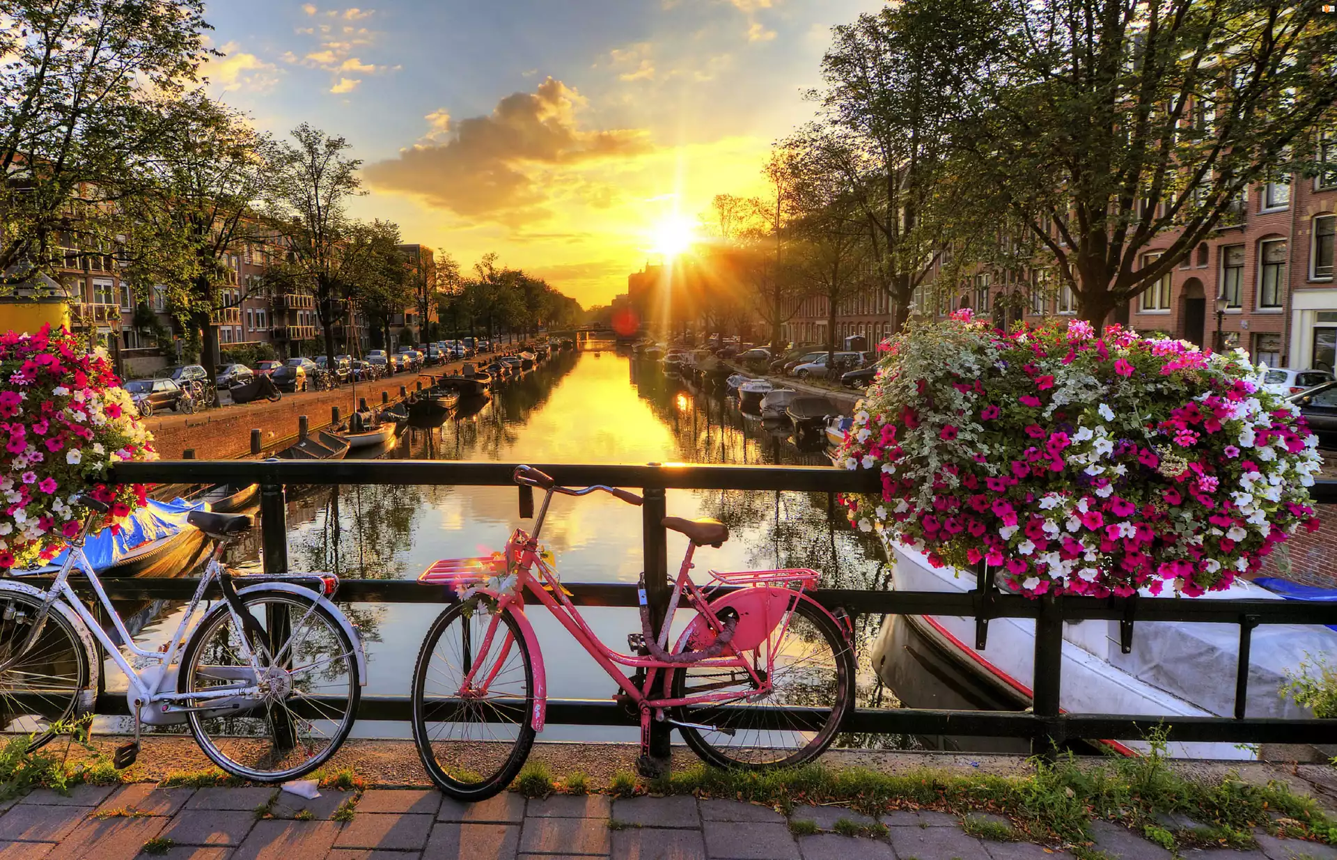 Rzeka, Amsterdam, Most, Kwiaty, Poranek, Rowery