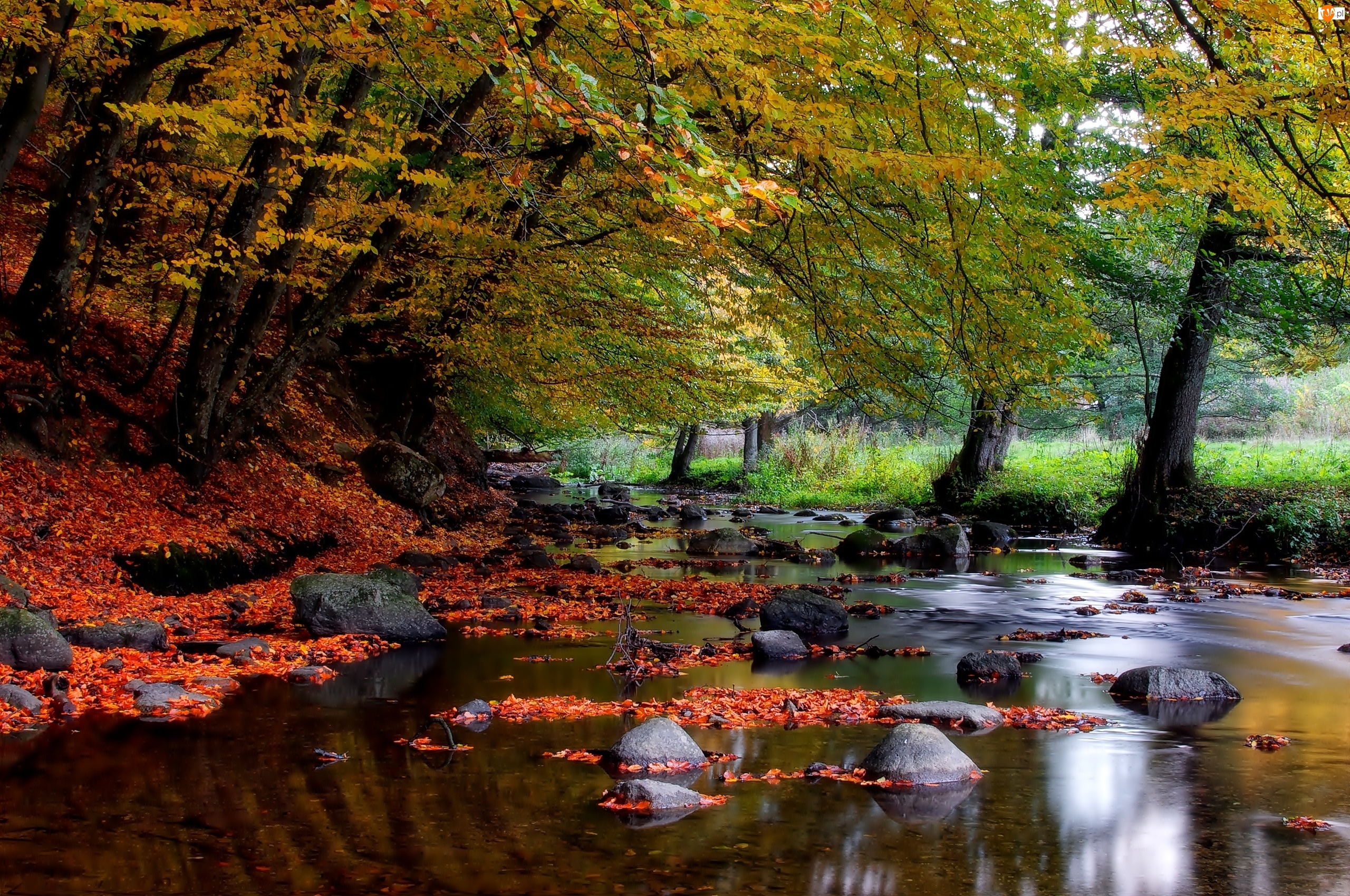 Jesień, Kamienie, Drzewa, Rzeka