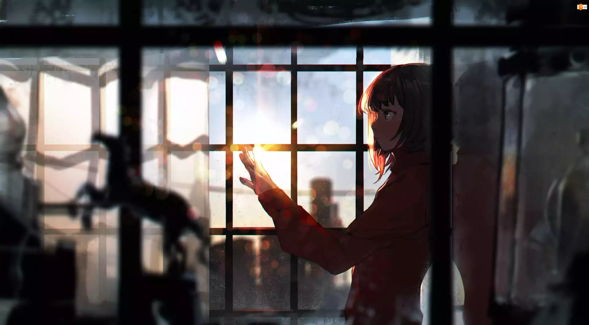 Anime, Dziewczyna, Okno