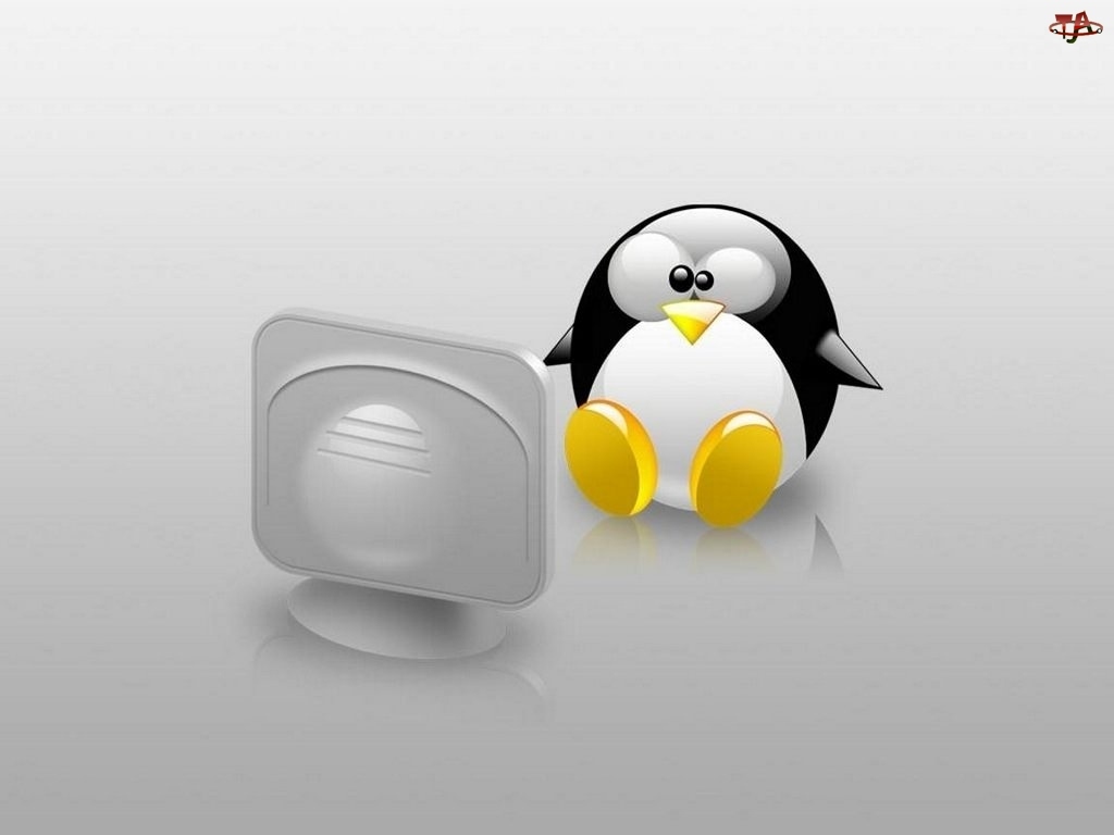 Linux, pingwin, grafika, monitor