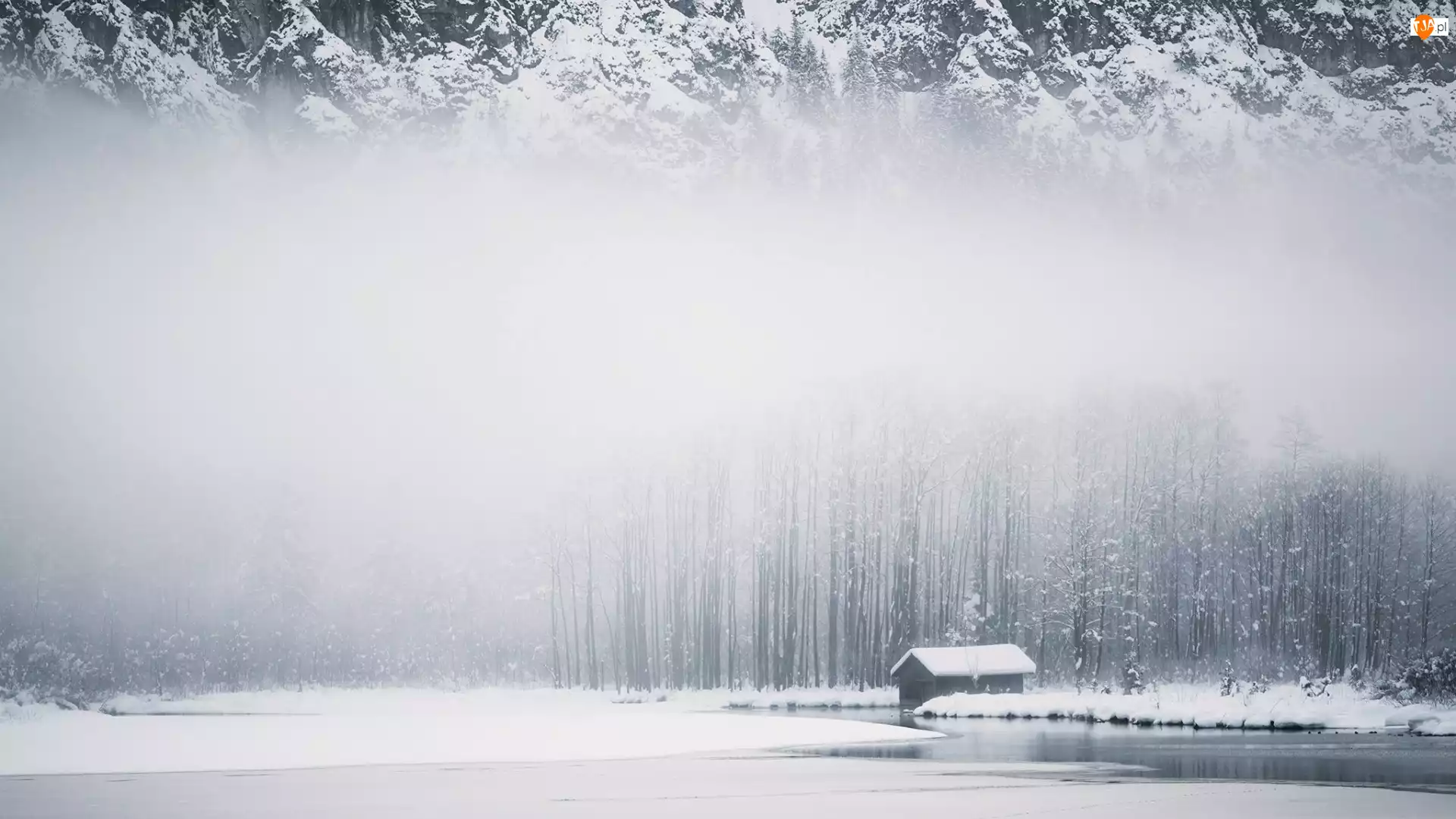 Jezioro, Zima, Mgła, Śnieg, Las