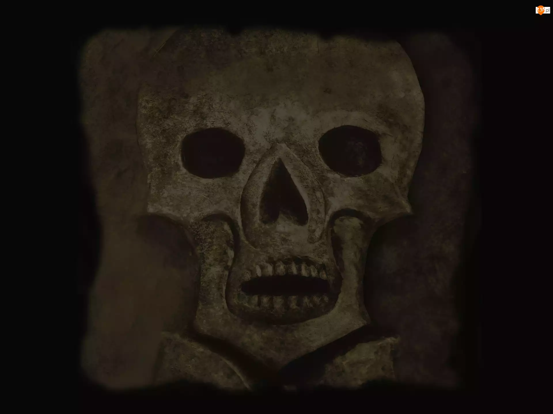 czaszka, Apocalyptica