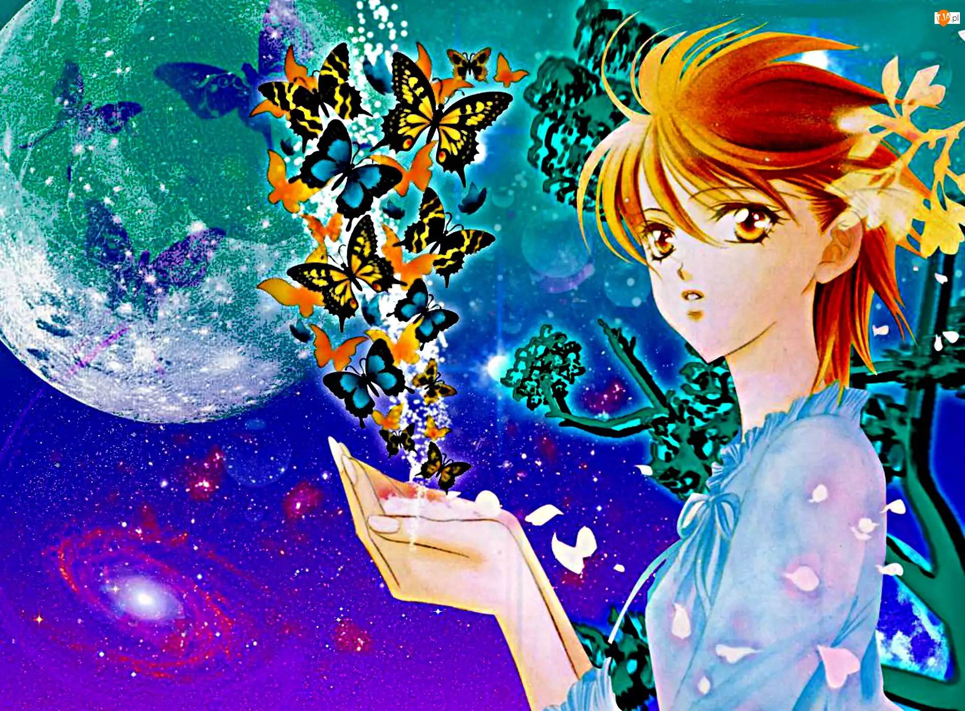 motyle, Skip Beat!, dziewczyna, anime, animacja