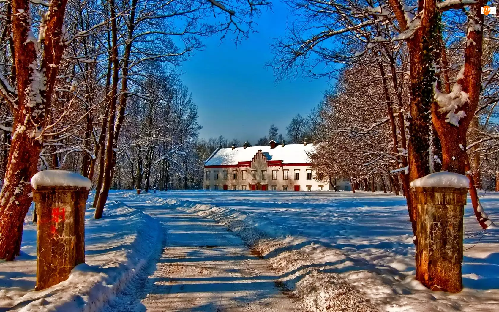Droga, Zima, Dom, Śnieg, Drzewa