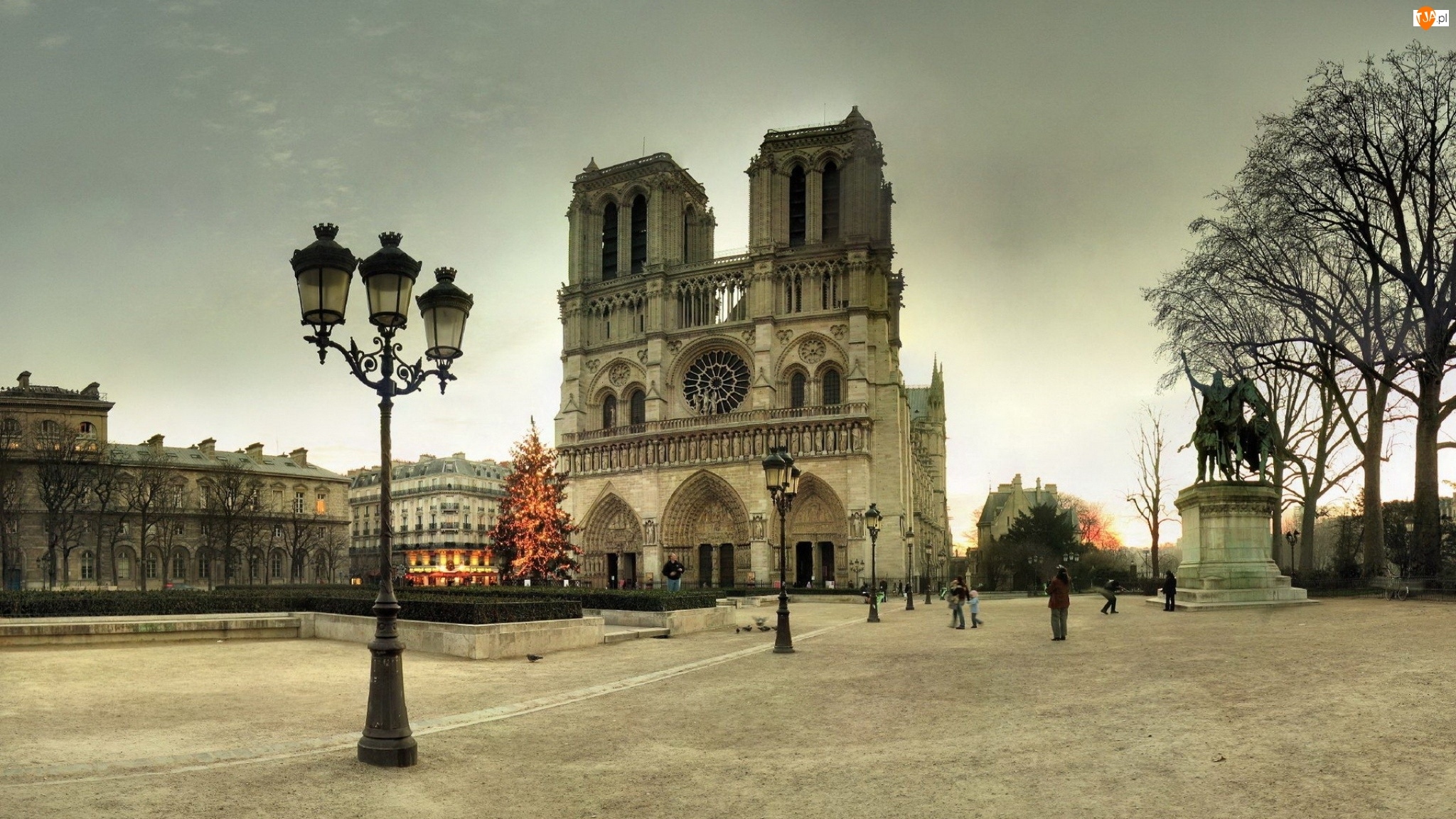 Francja, Paryż, Notre, Choinka, Katedra, Dame
