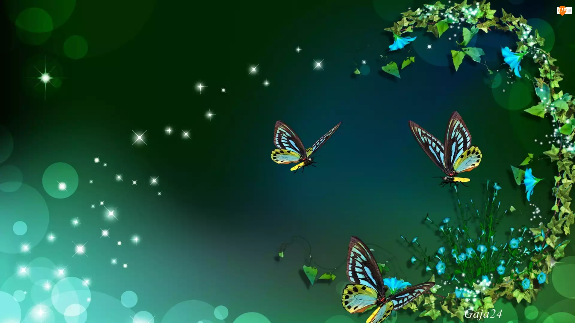 Motyle, Art, Niebieskie Kwiatki, Bokeh