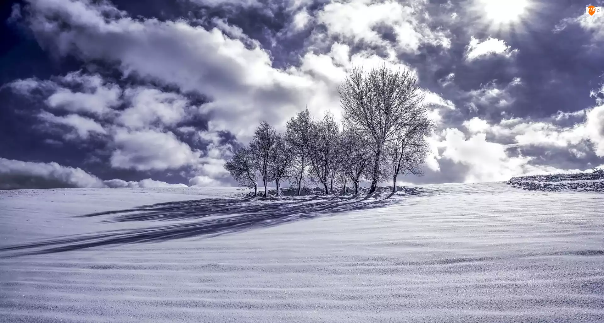 Śnieg, Zima, Drzewa, Chmury