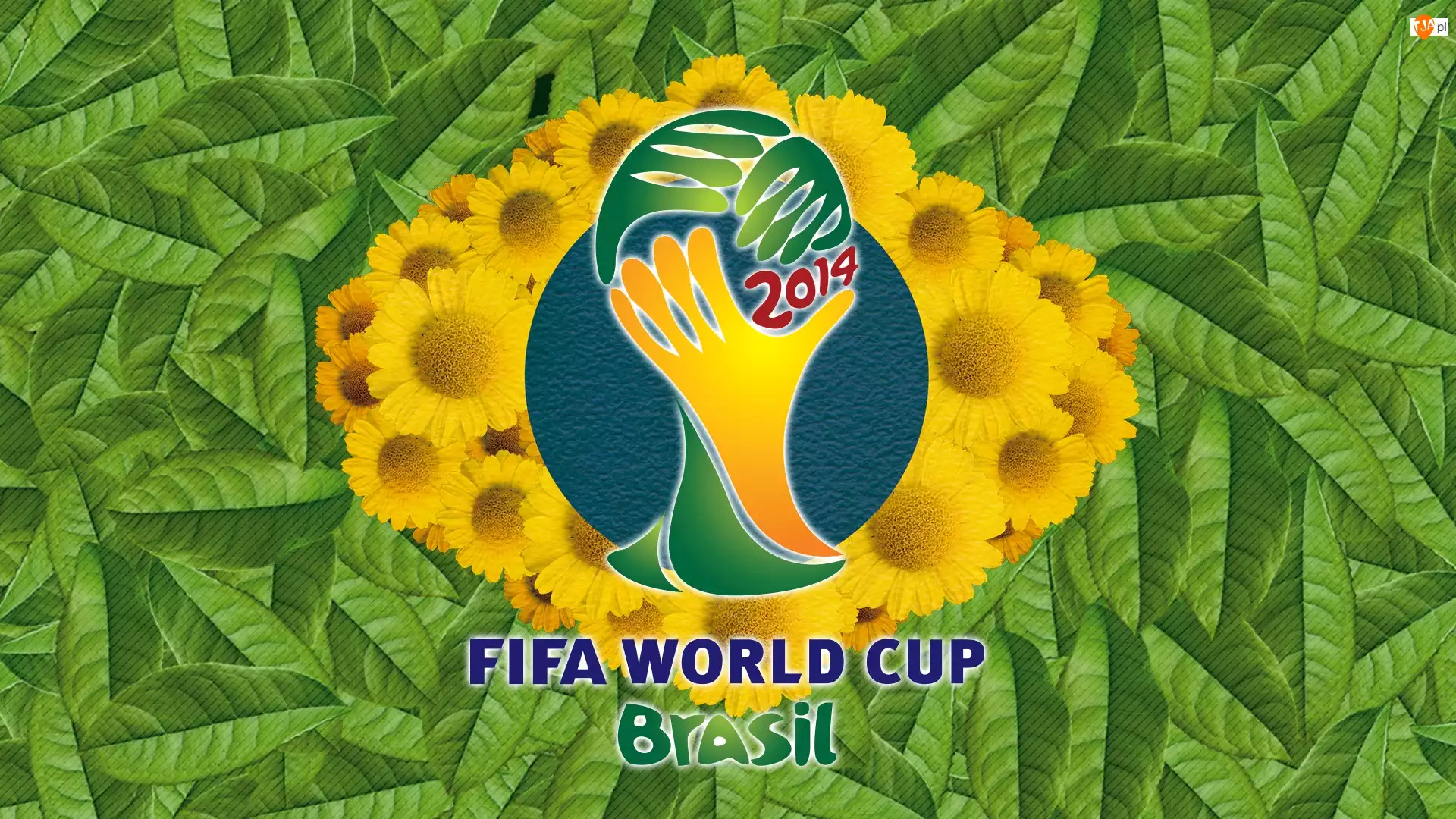 Świata, Brasil, Brazylia, 2014, Mistrzostwa