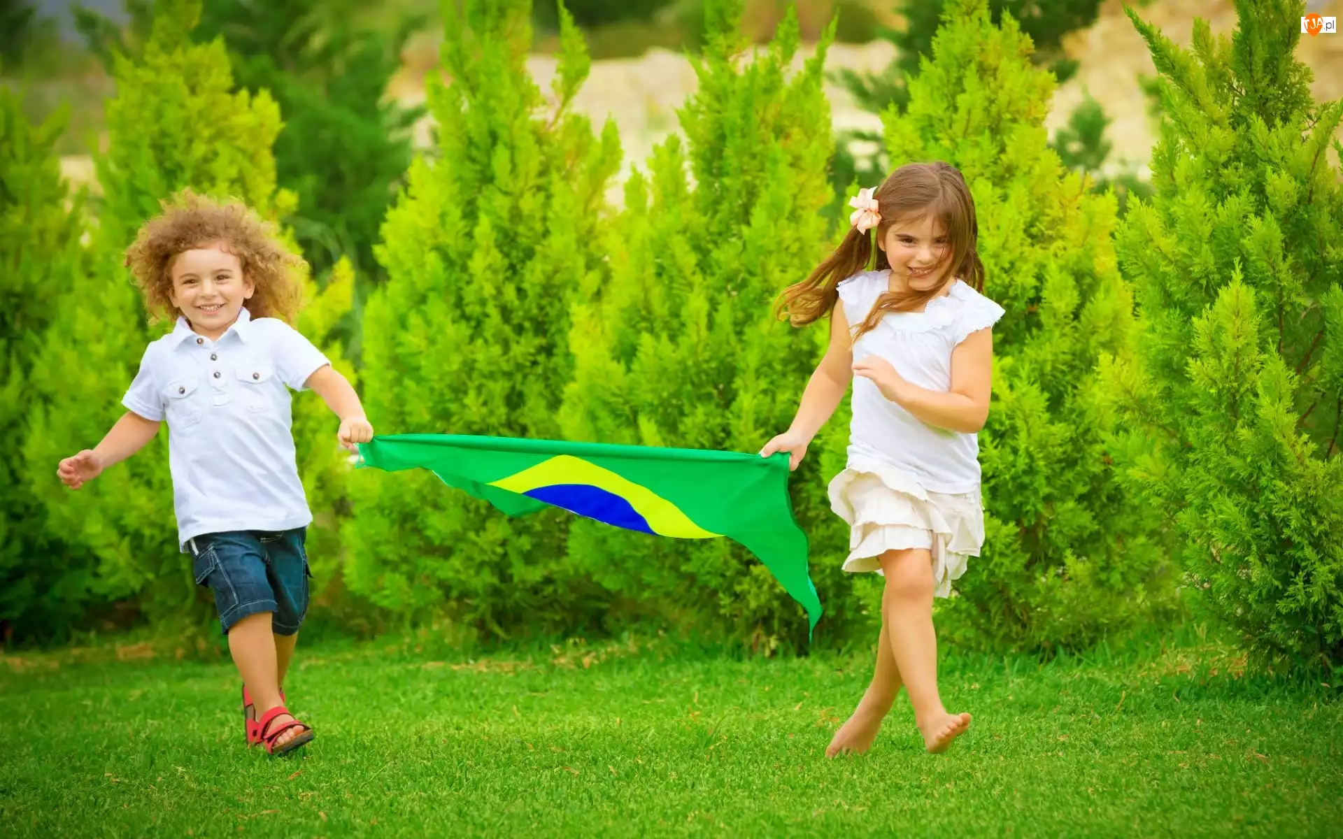 Mistrzostwa, Dzieci, Łąka, Świata, Flaga, Drzewa, 2014, Brazylijska