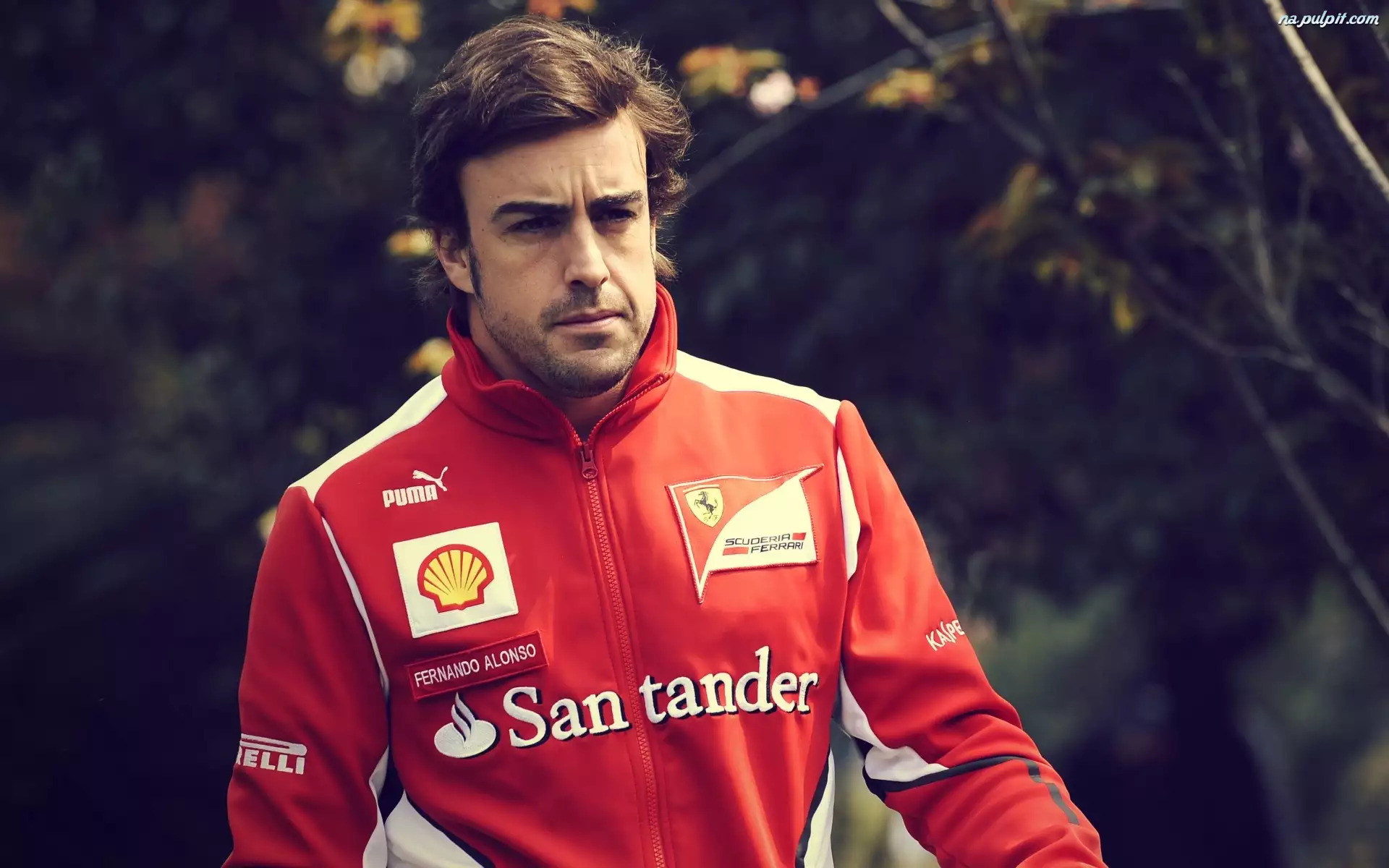 Bluza, Fernando Alonso, Sportowa
