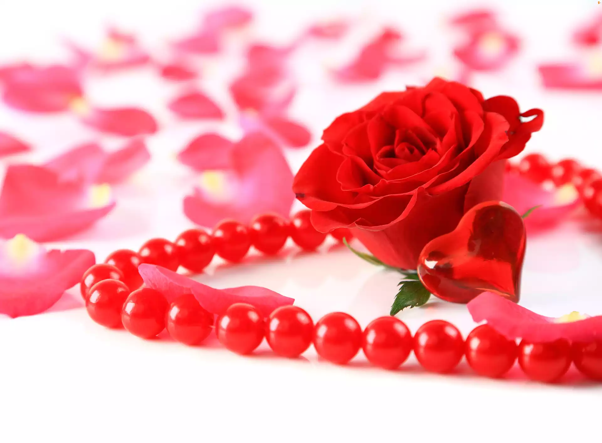 Czerwone perły, Płatki rózy, Serce, Czerwona róża