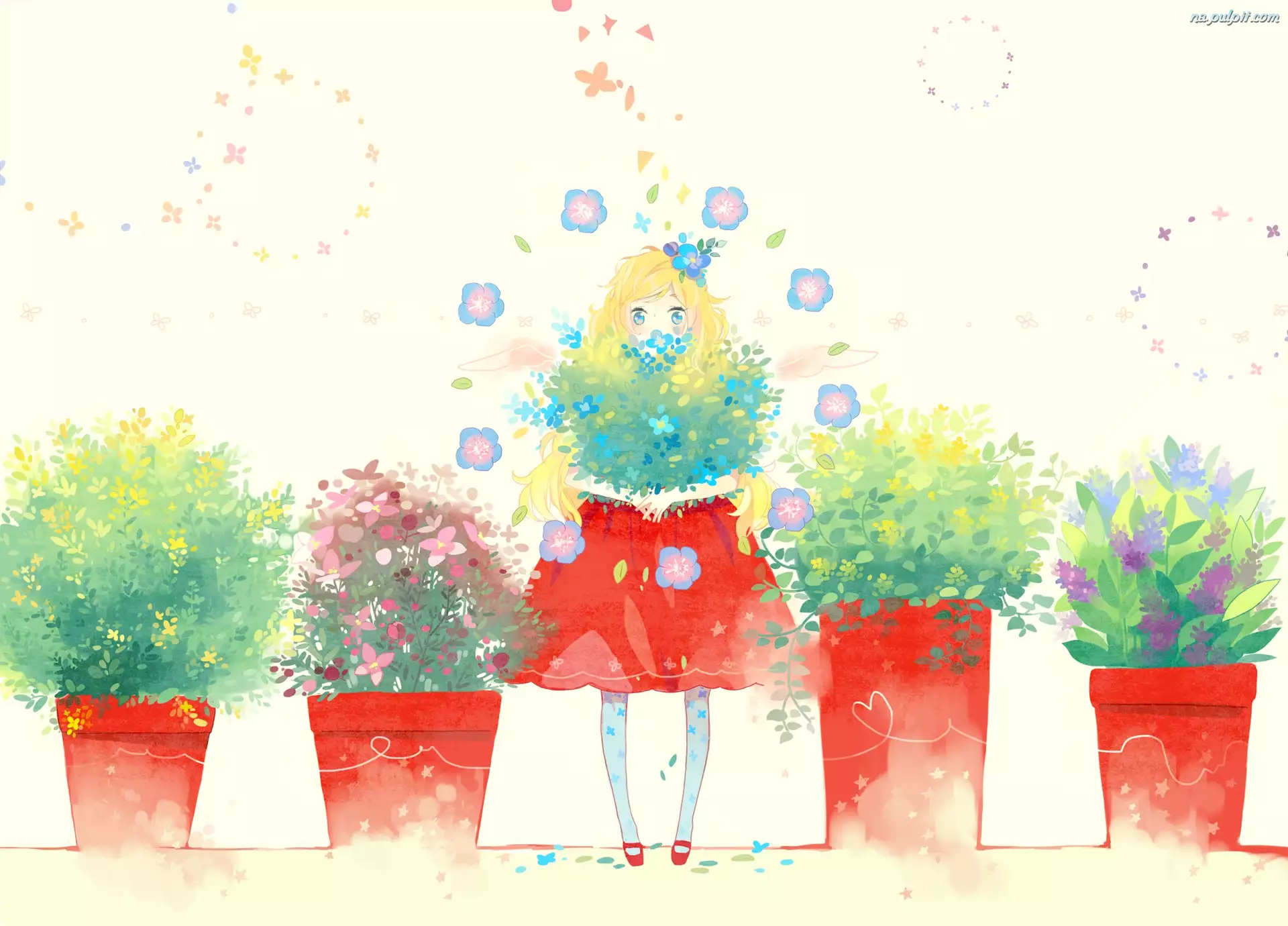 Anime, Kwiatki, Dziewczyna