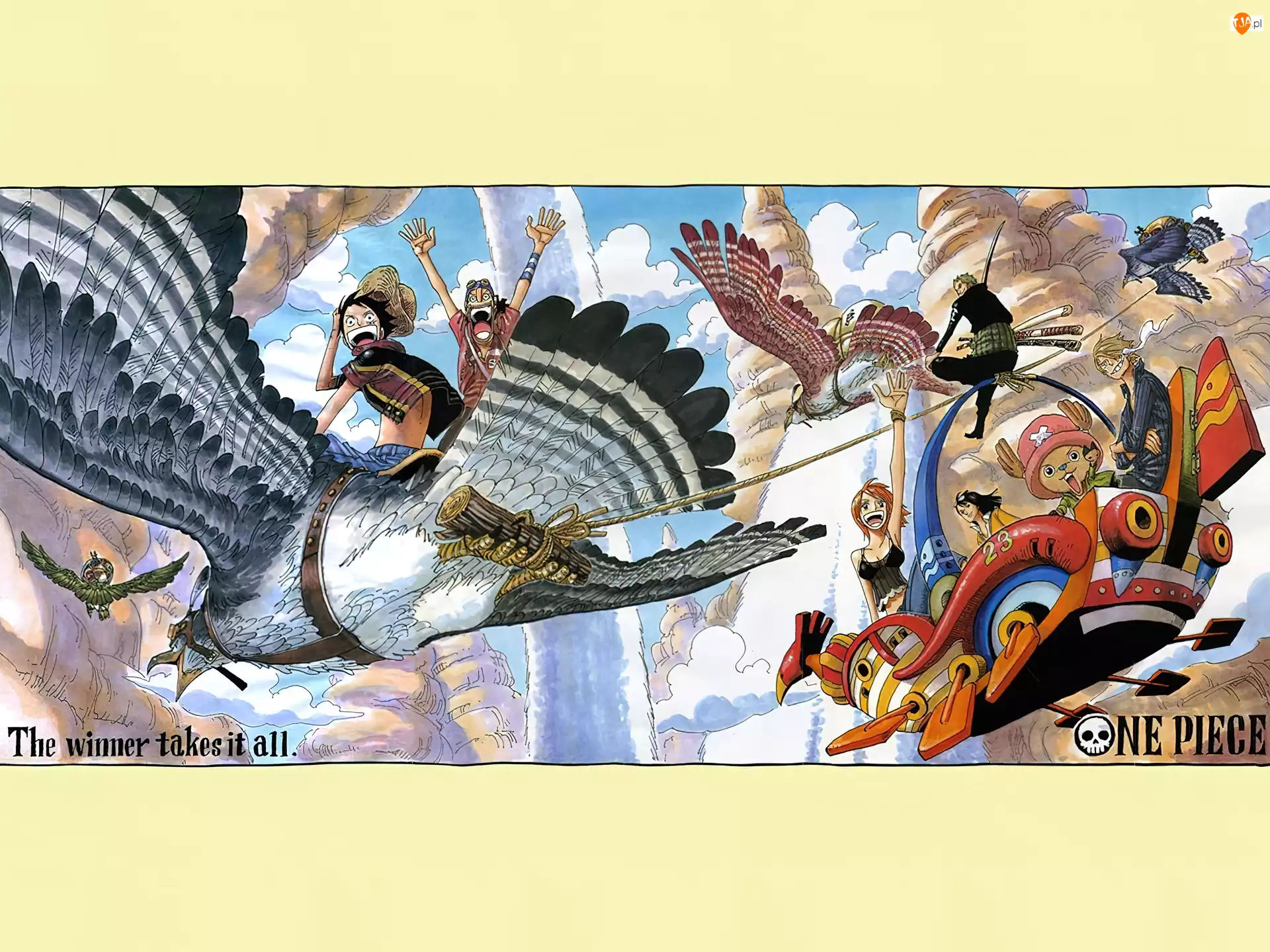 ludzie, One Piece, ptak
