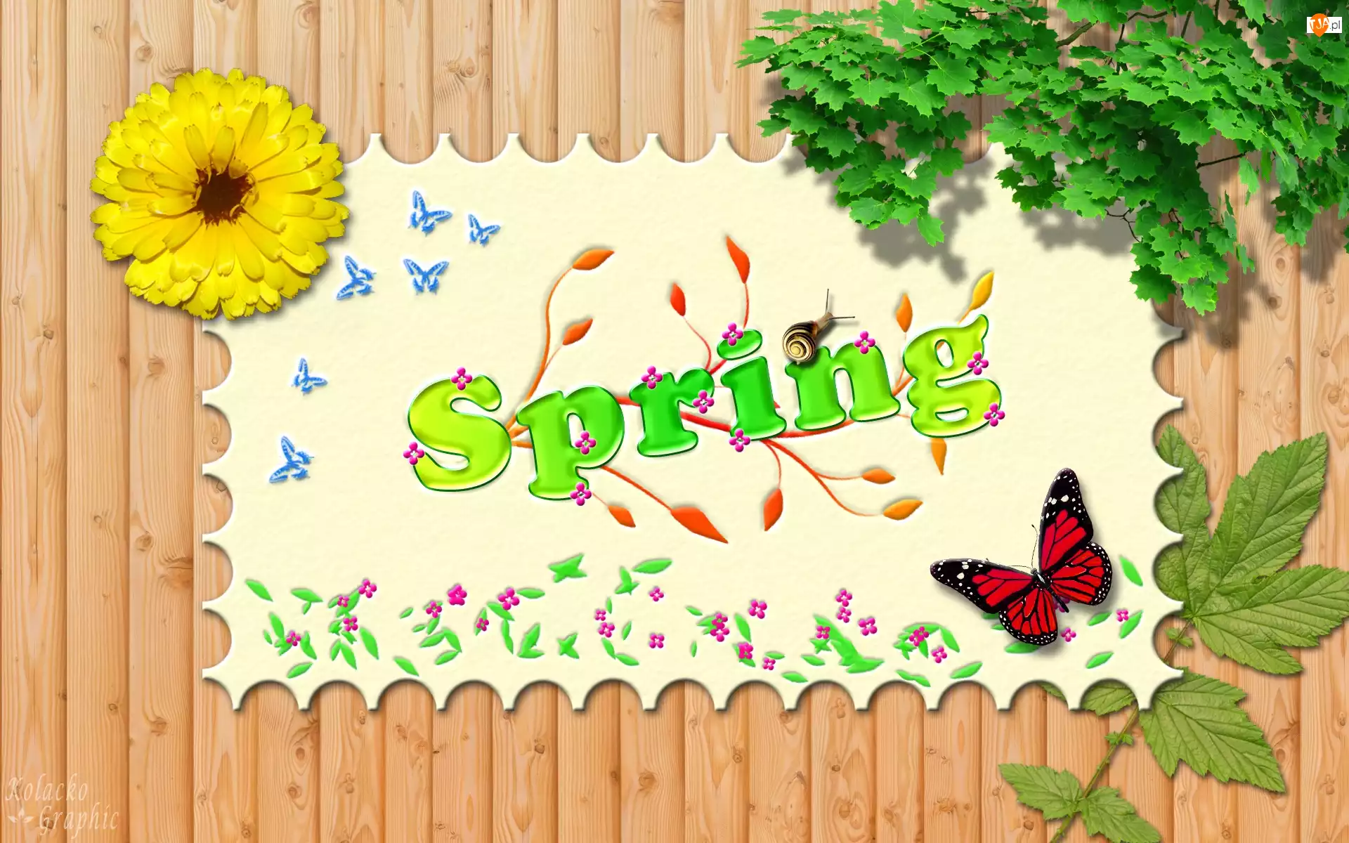 Liście, Wiosna, Motylki, Napis, Kwiat
