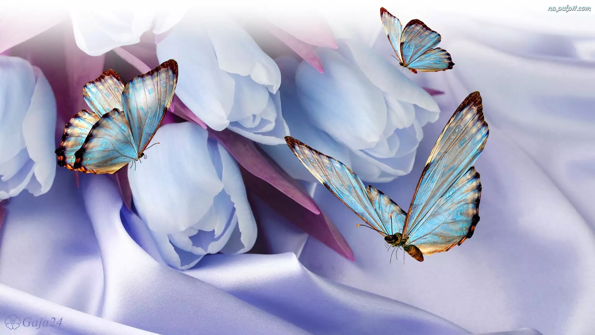 Tulipany, Wektorowa, Niebieskie motyle, 3D