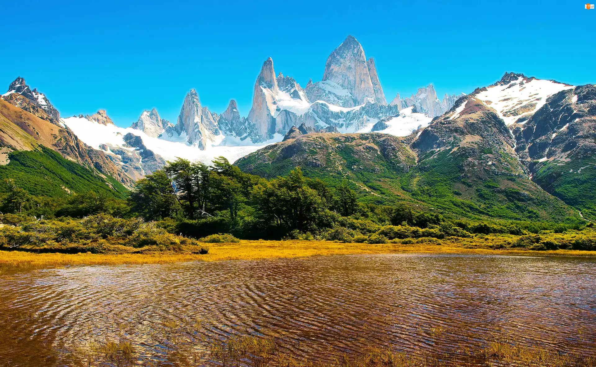 Góry, Argentyna, Jezioro, Drzewa