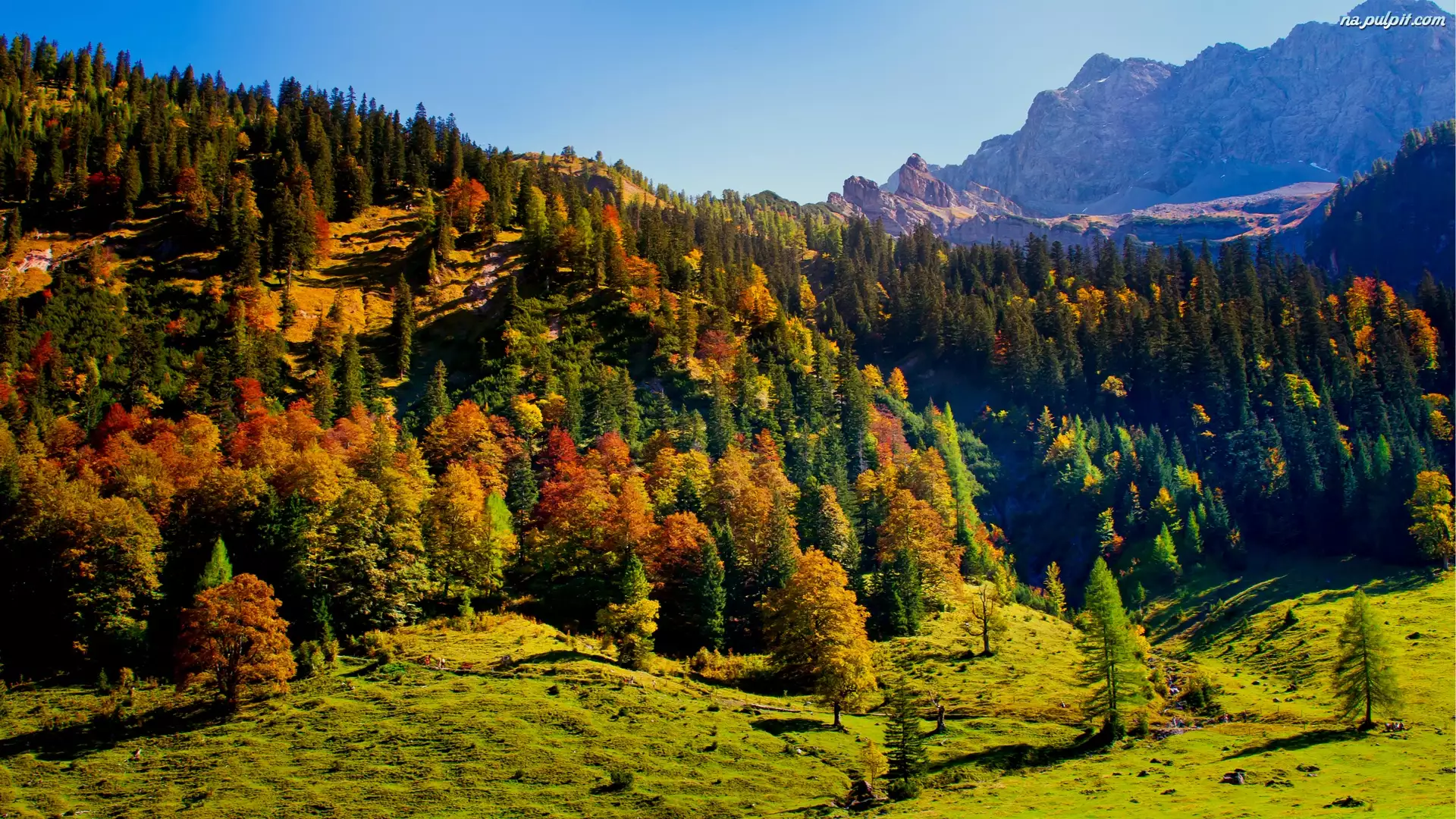 Tyrol, Austria, Jesień, Lasy, Karwendel, Góry