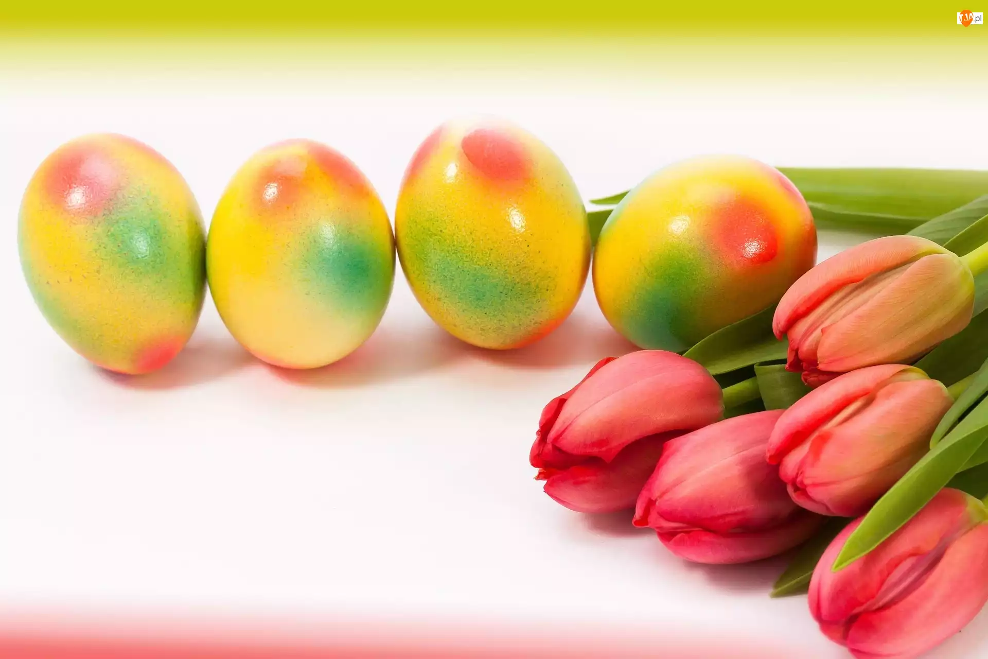 Wielkanoc, Kolorowe, Pisanki, Tulipany